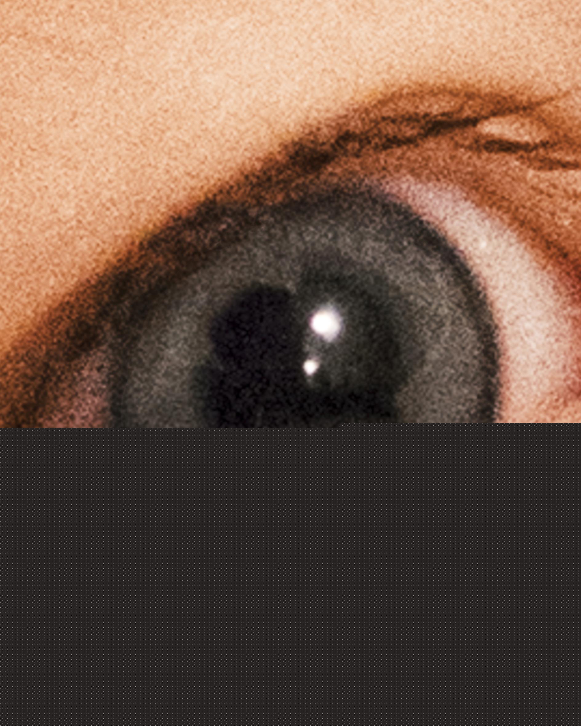 Monde des miasmes Nadège Abadie