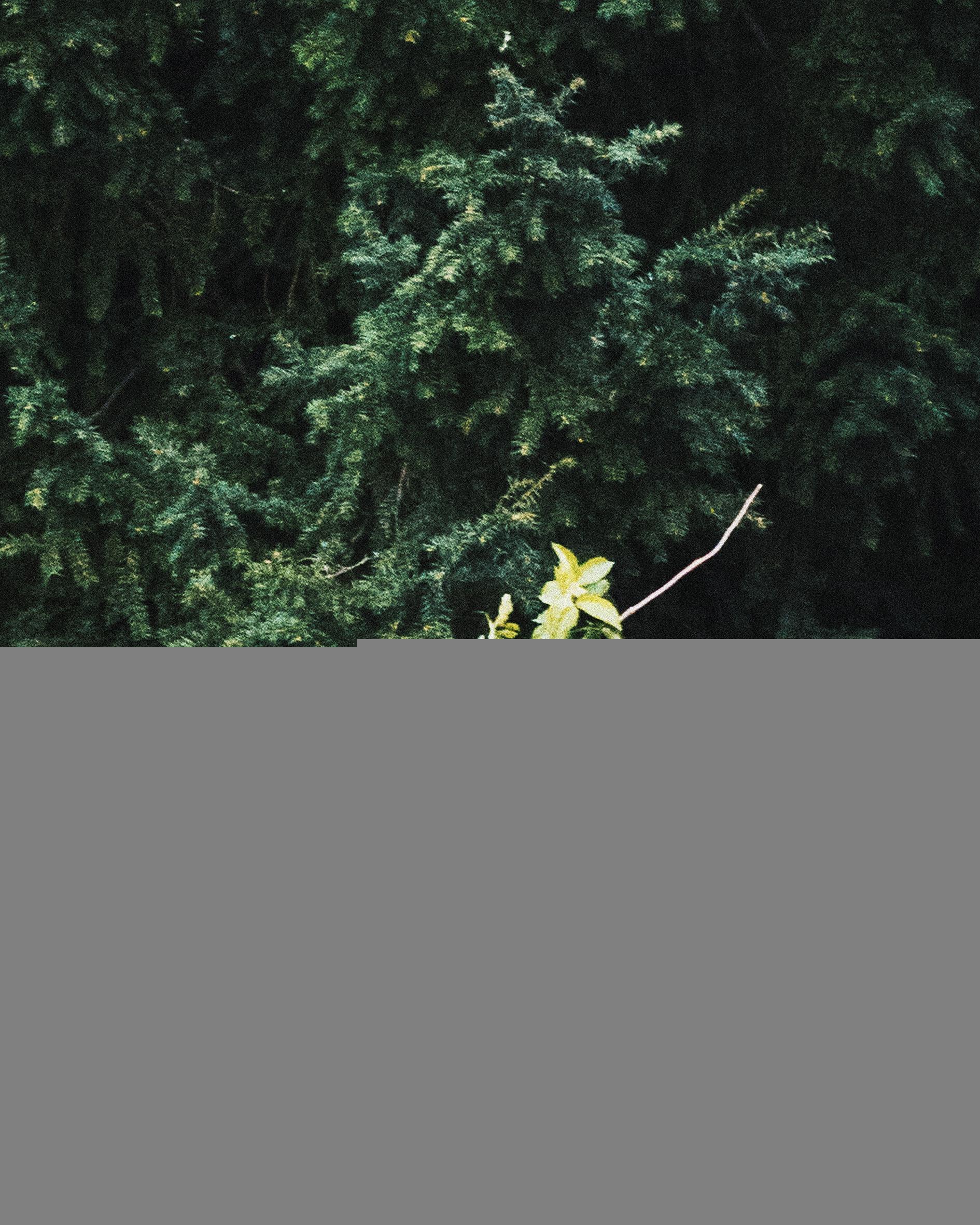 Monde des miasmes Nadège Abadie