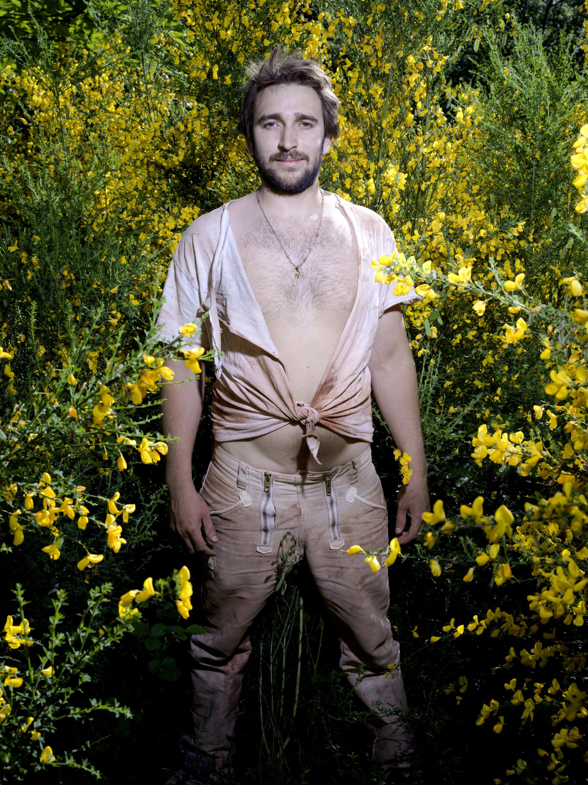 Les genêts Laurent Monlaü