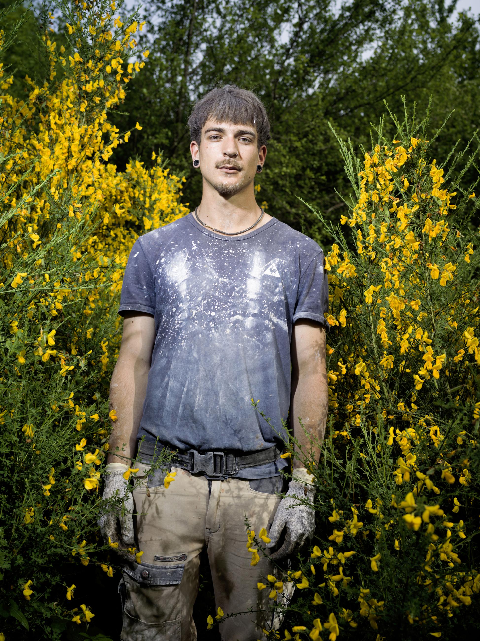 Les genêts Laurent Monlaü