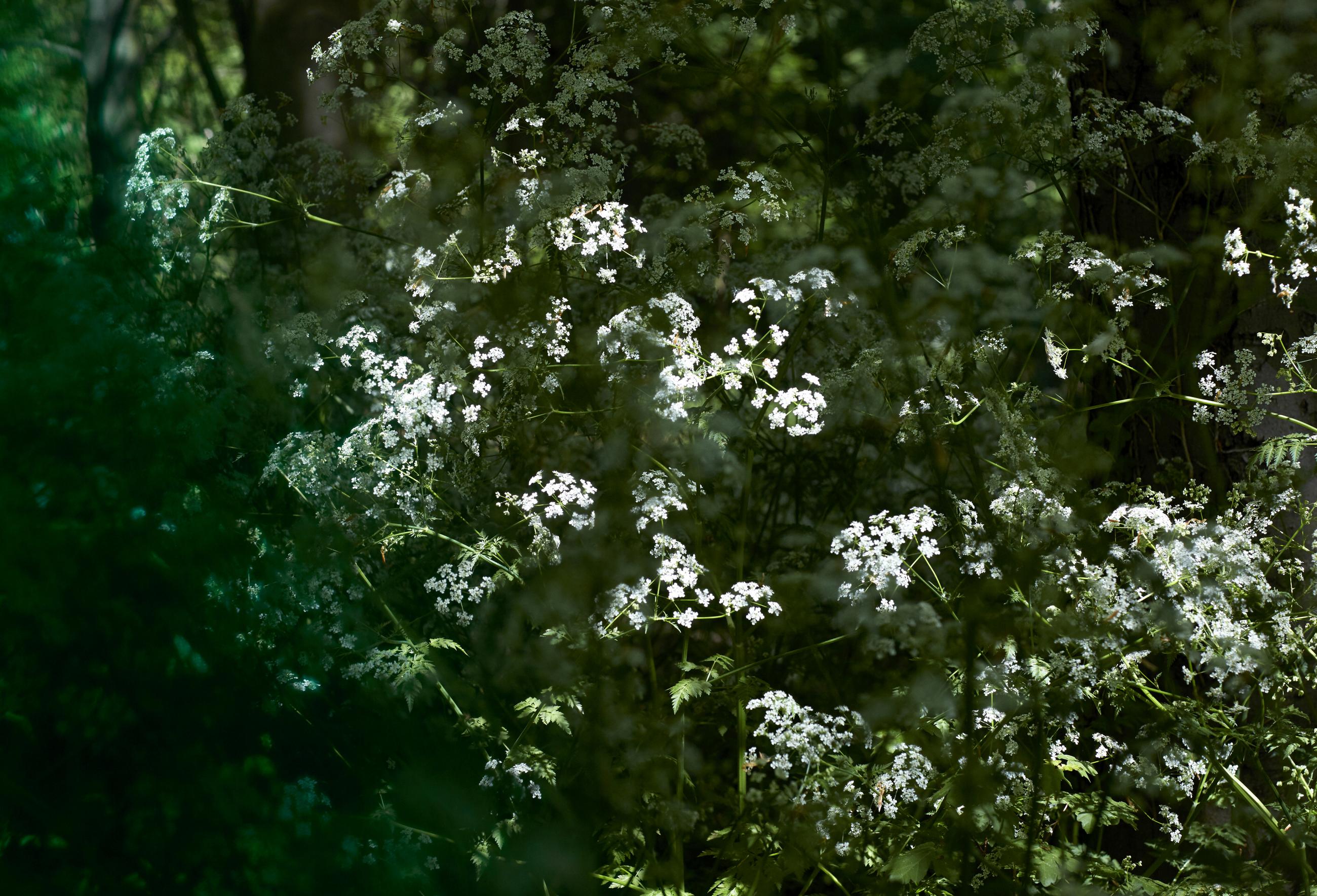 Refuge Sandrine Expilly