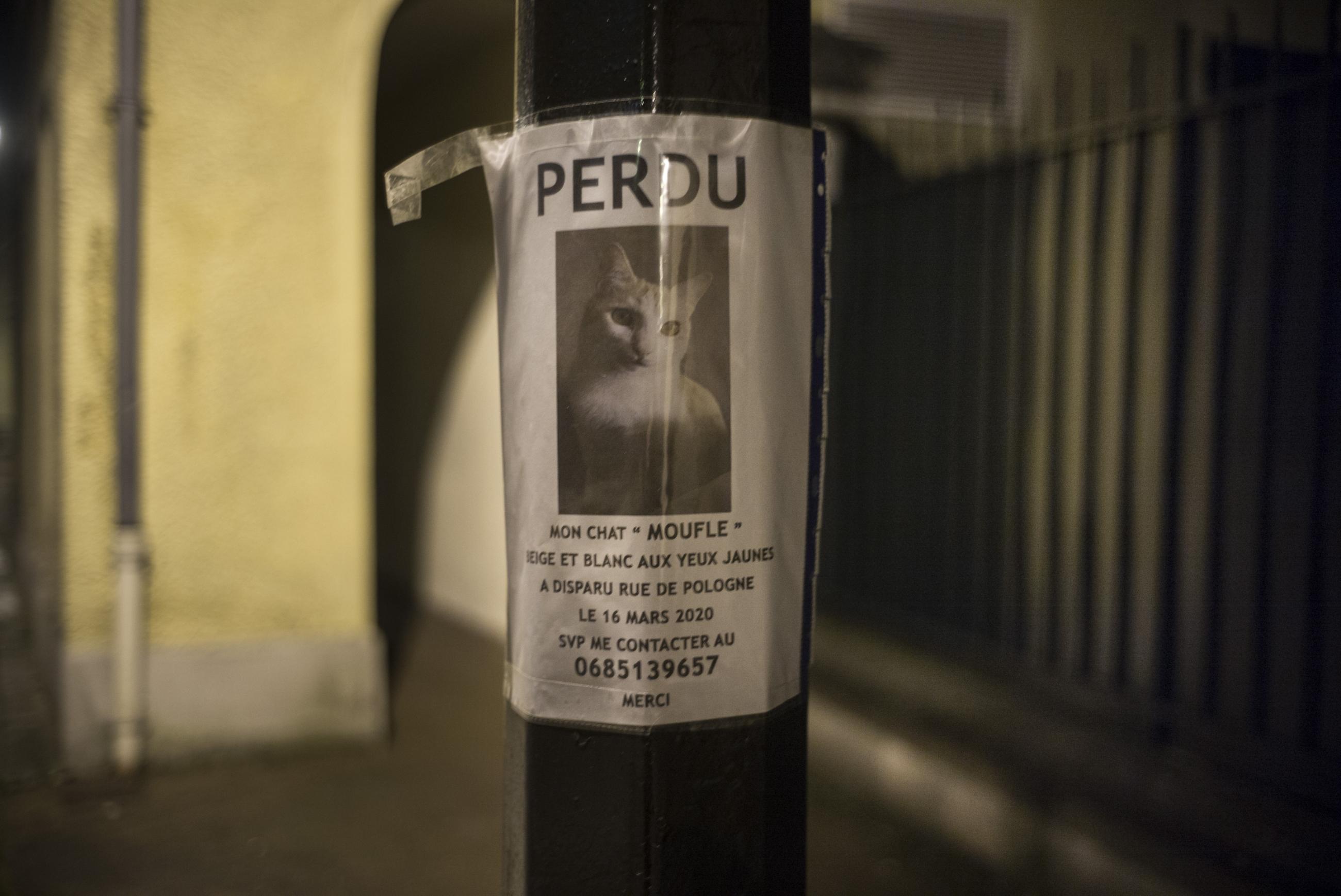 60 m2, 1 km à la ronde Eric Facon