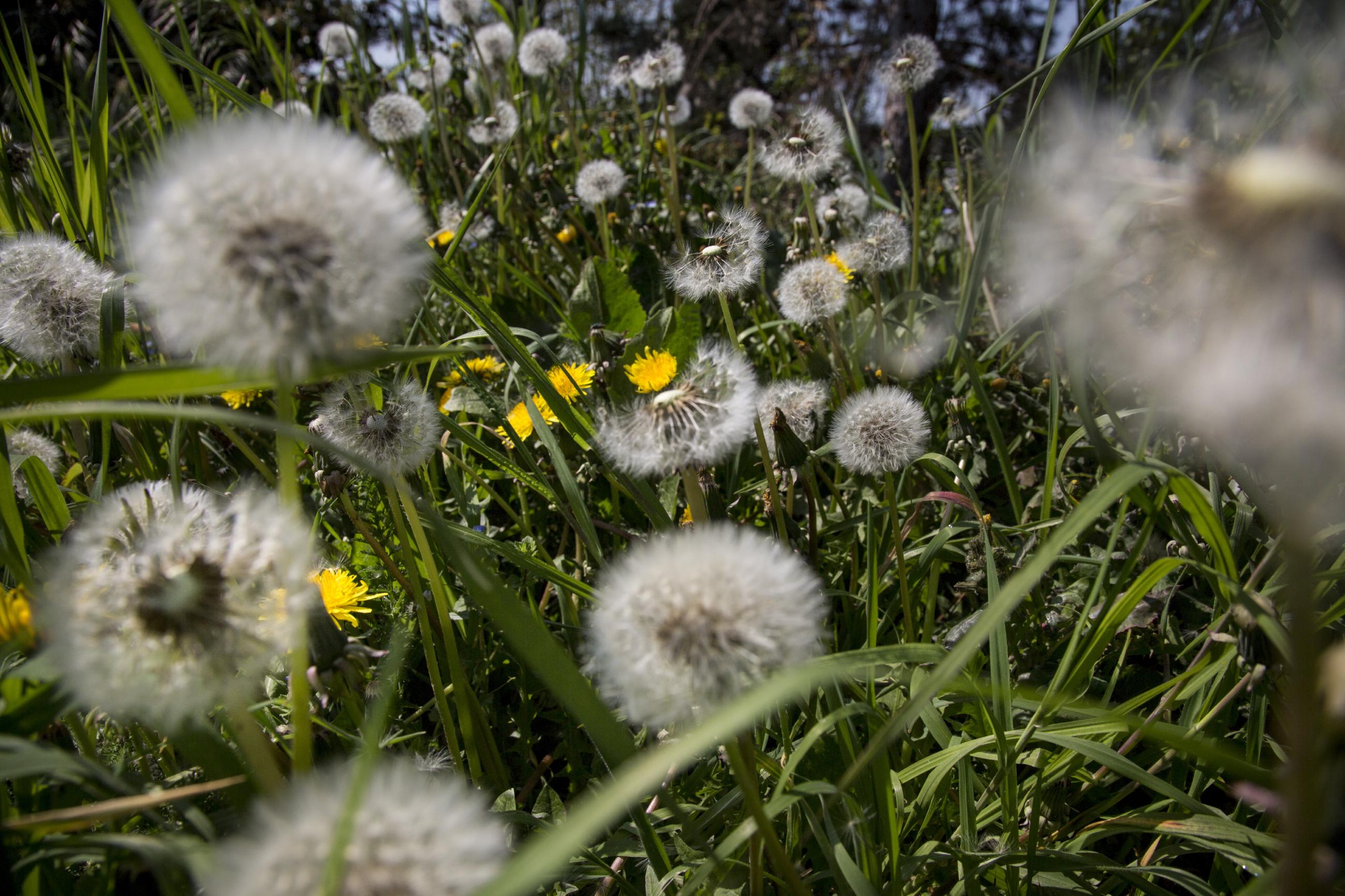 60 m2, 1 km à la ronde Eric Facon