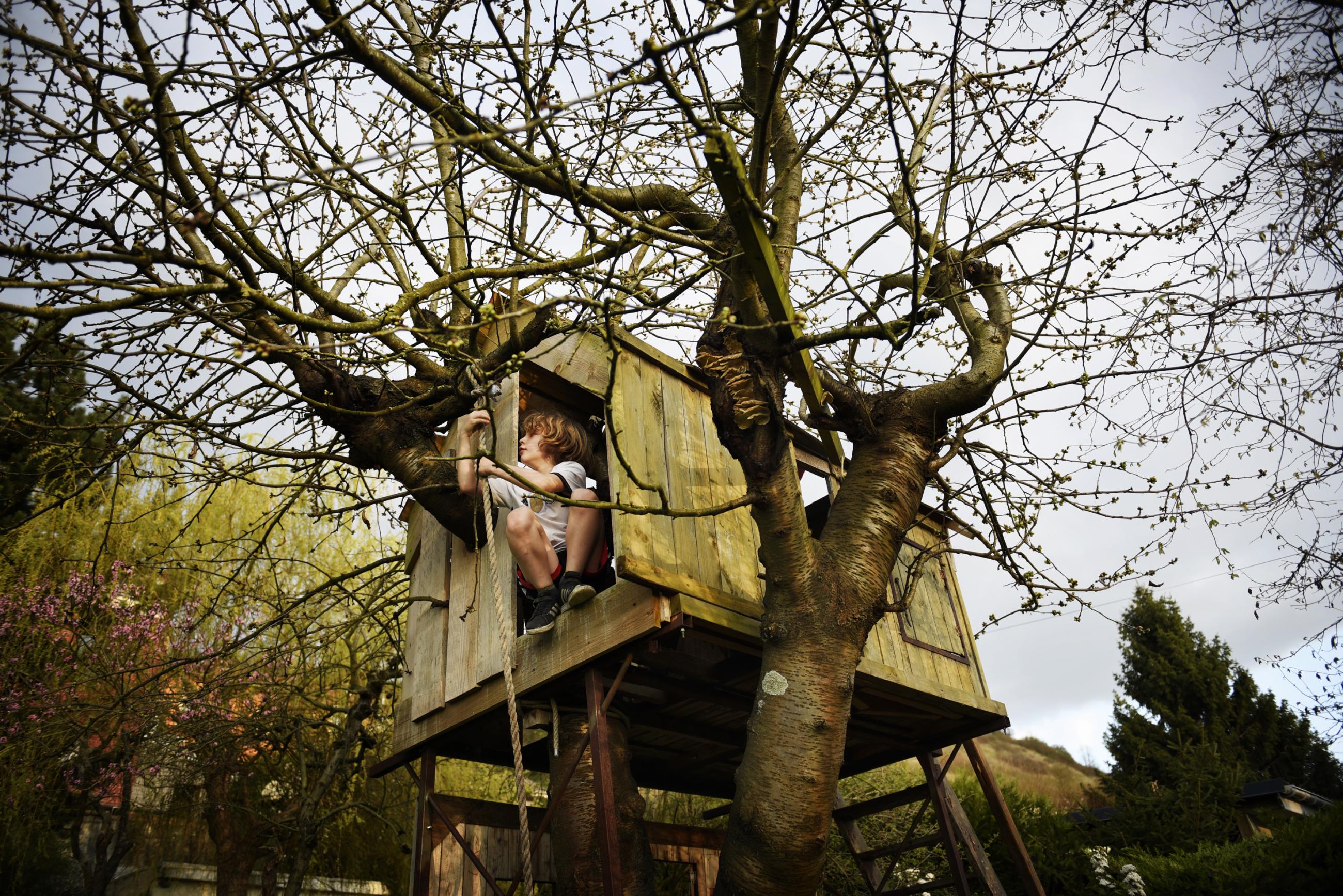 Extension du domaine de la lutte Florence Brochoire