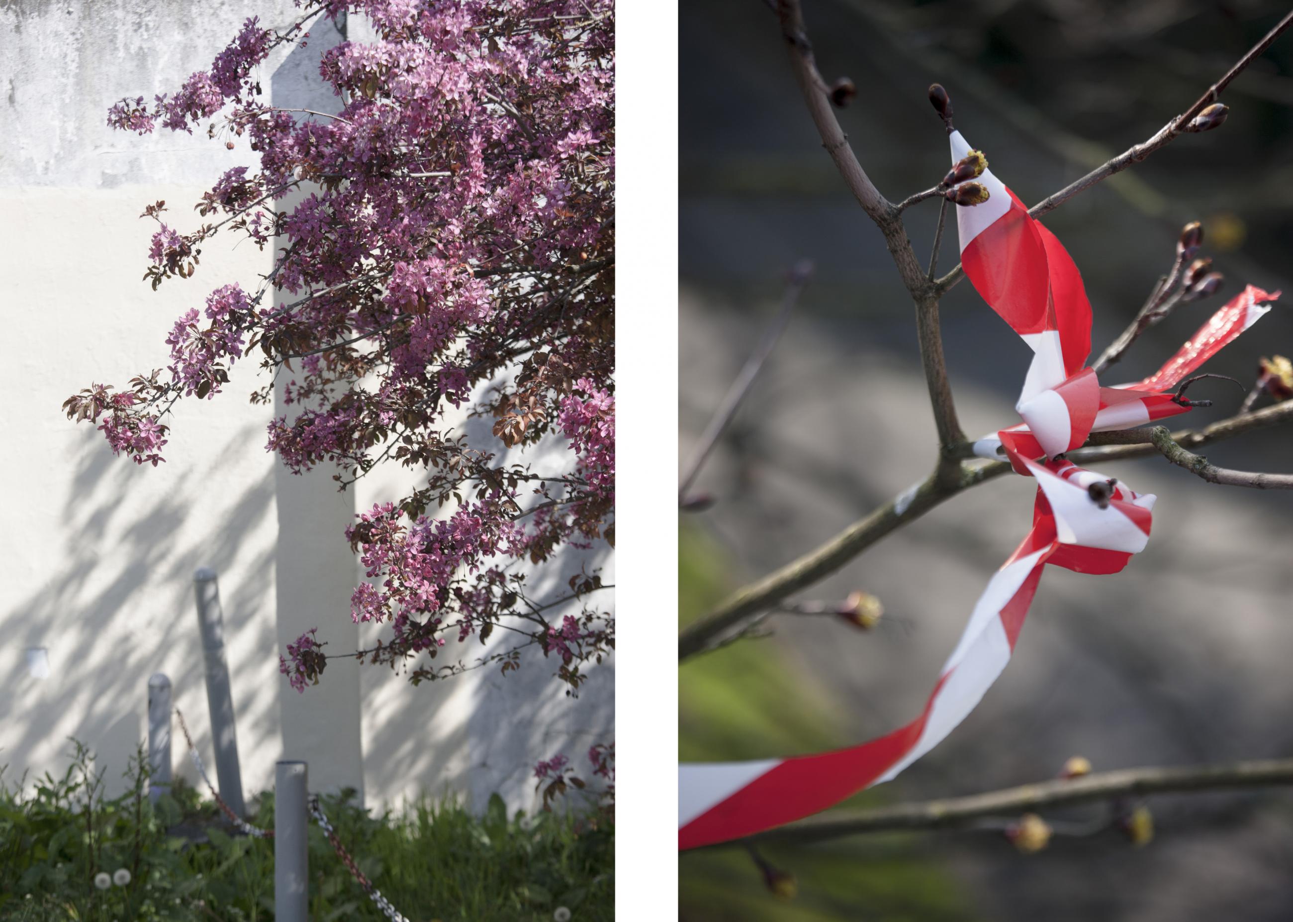 Au seuil du printemps Jérémie Jung