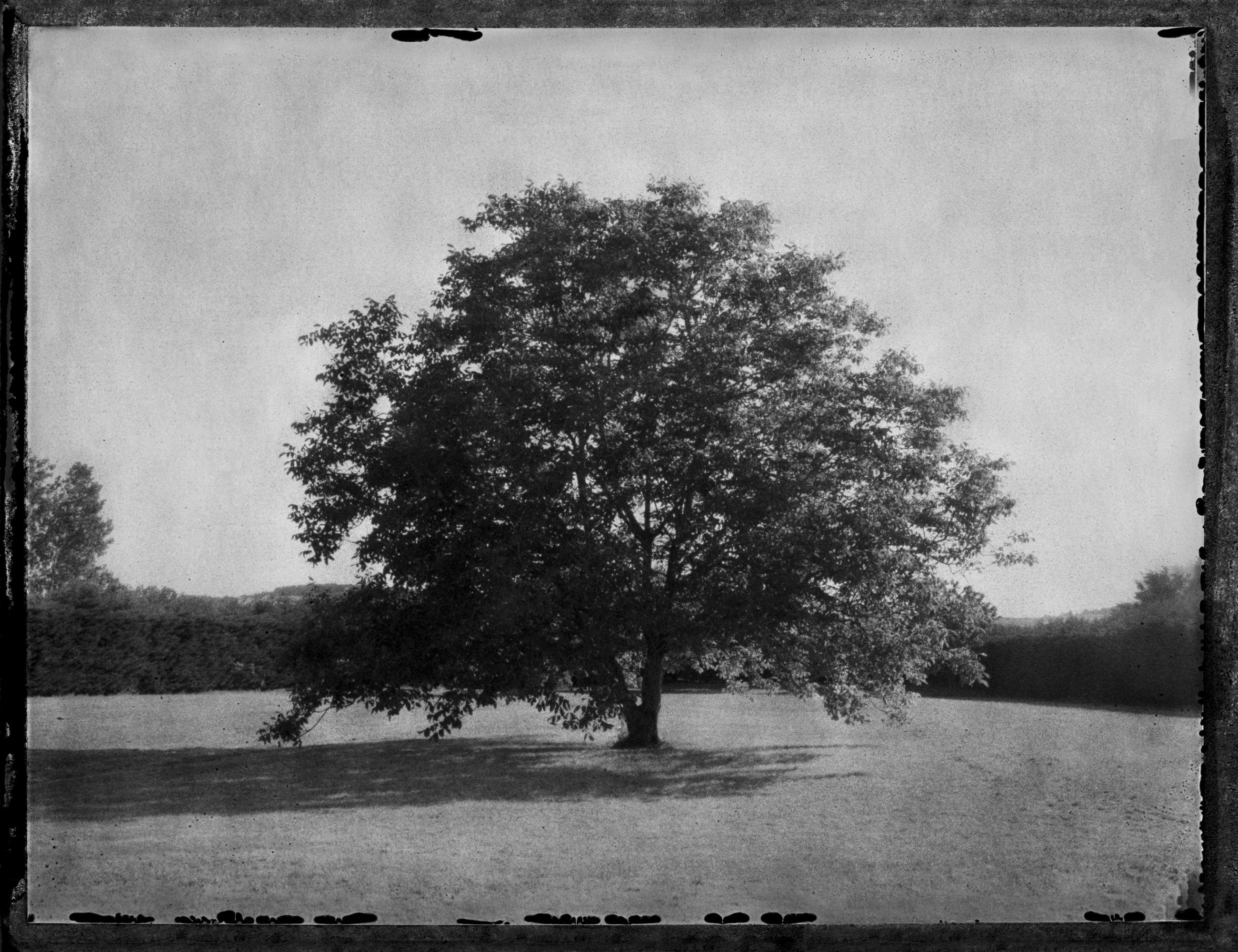 A vol d'oiseau Sophie Brändström