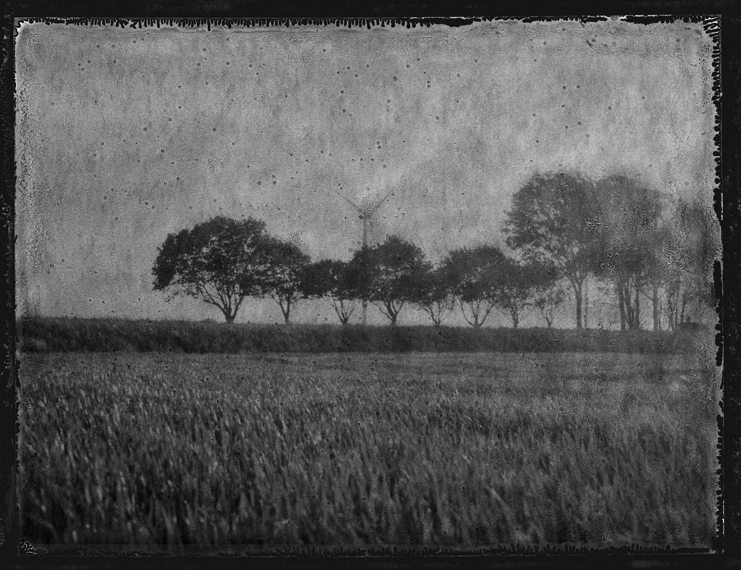 A vol d'oiseau Sophie Brändström