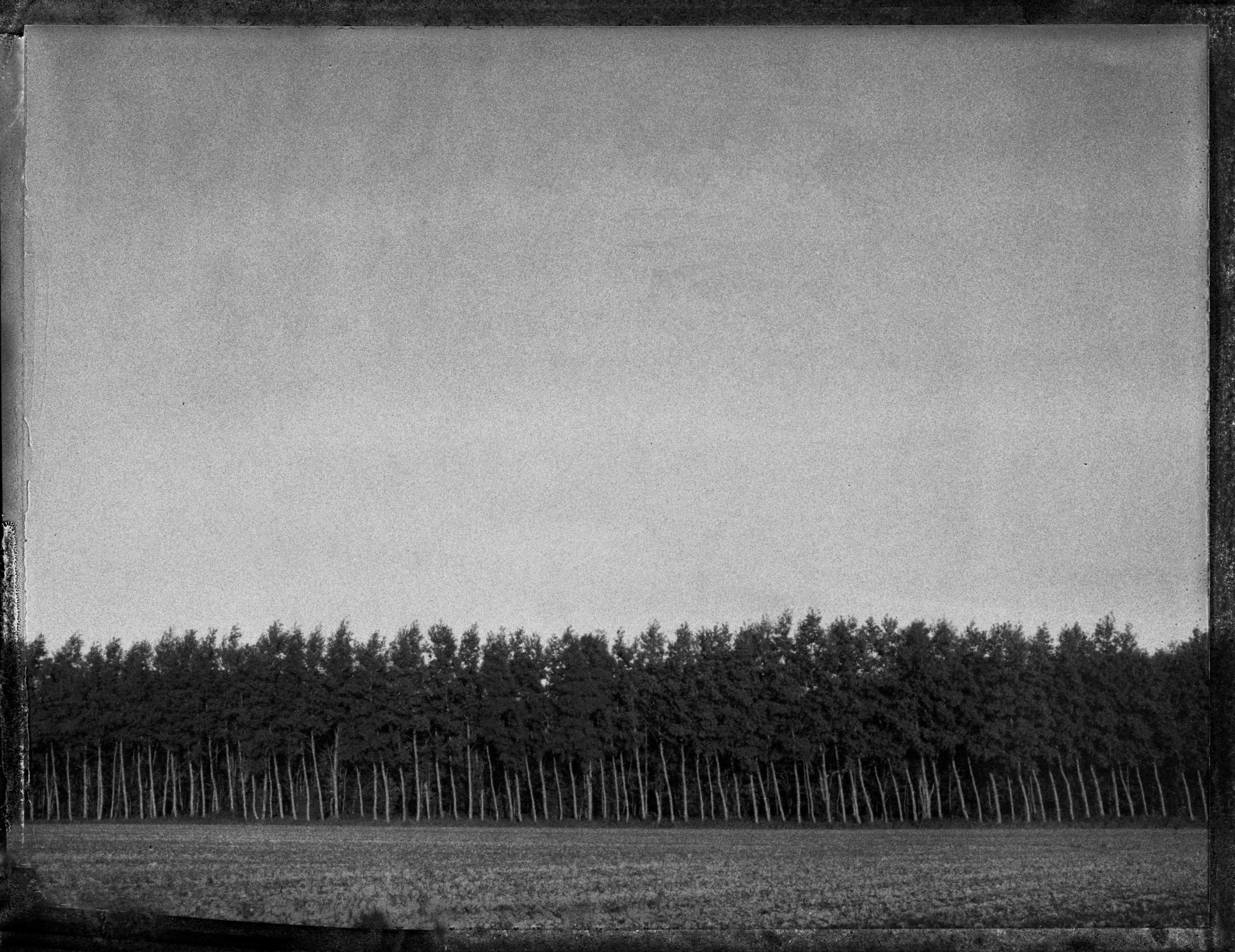 A vol d'oiseau Sophie Brändström