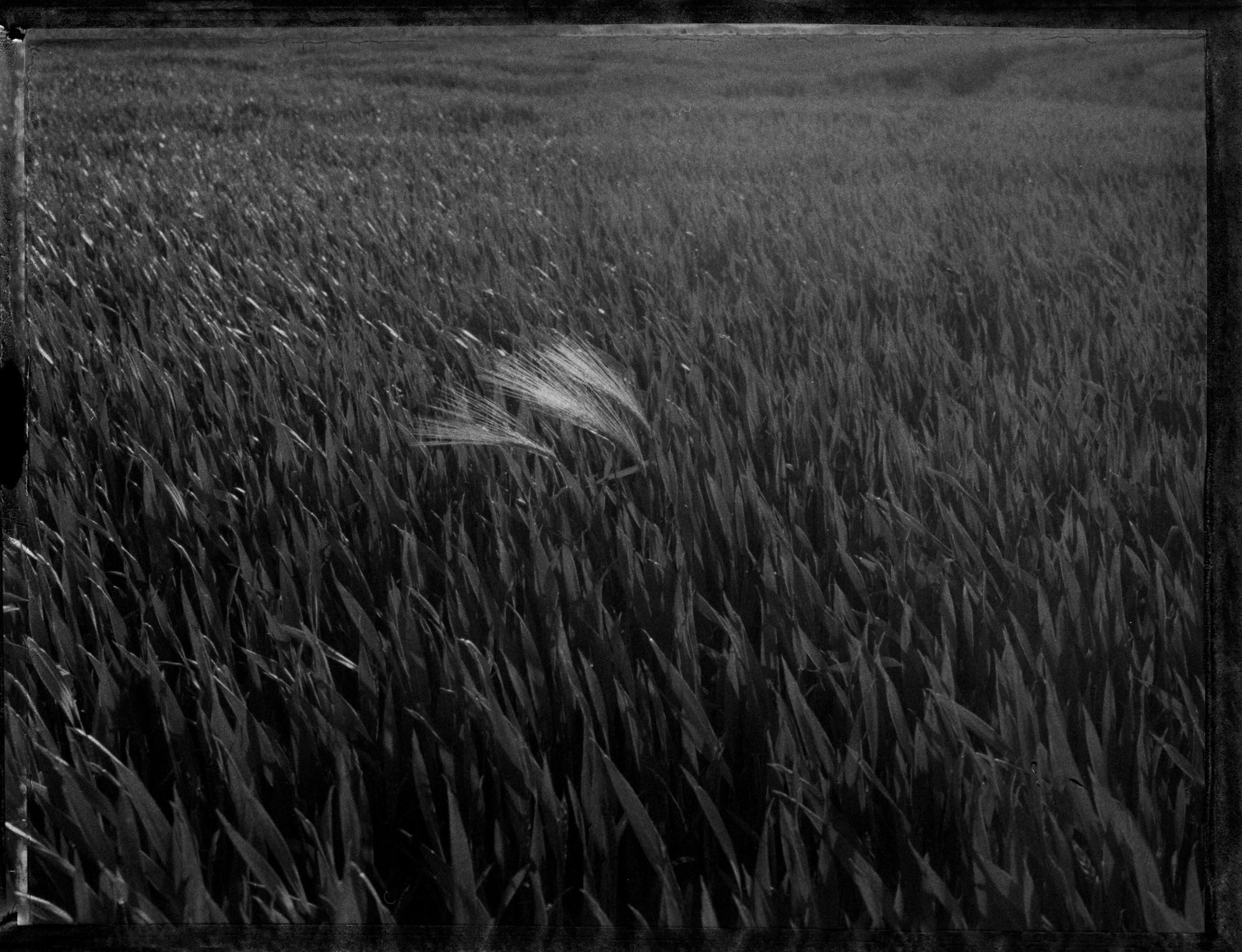 A vol d'oiseau Sophie Brändström