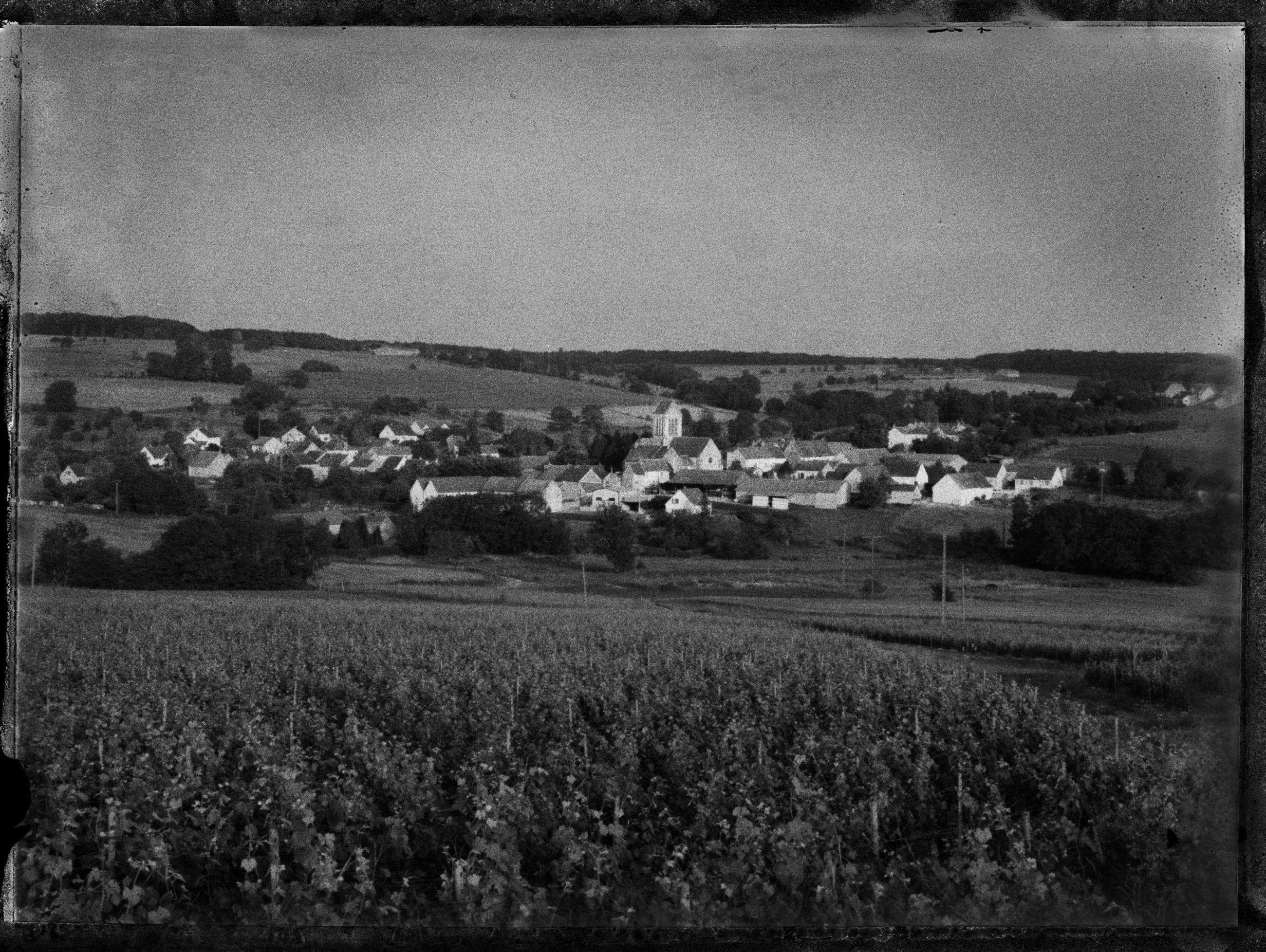 A vol d'oiseau Sophie Brändström