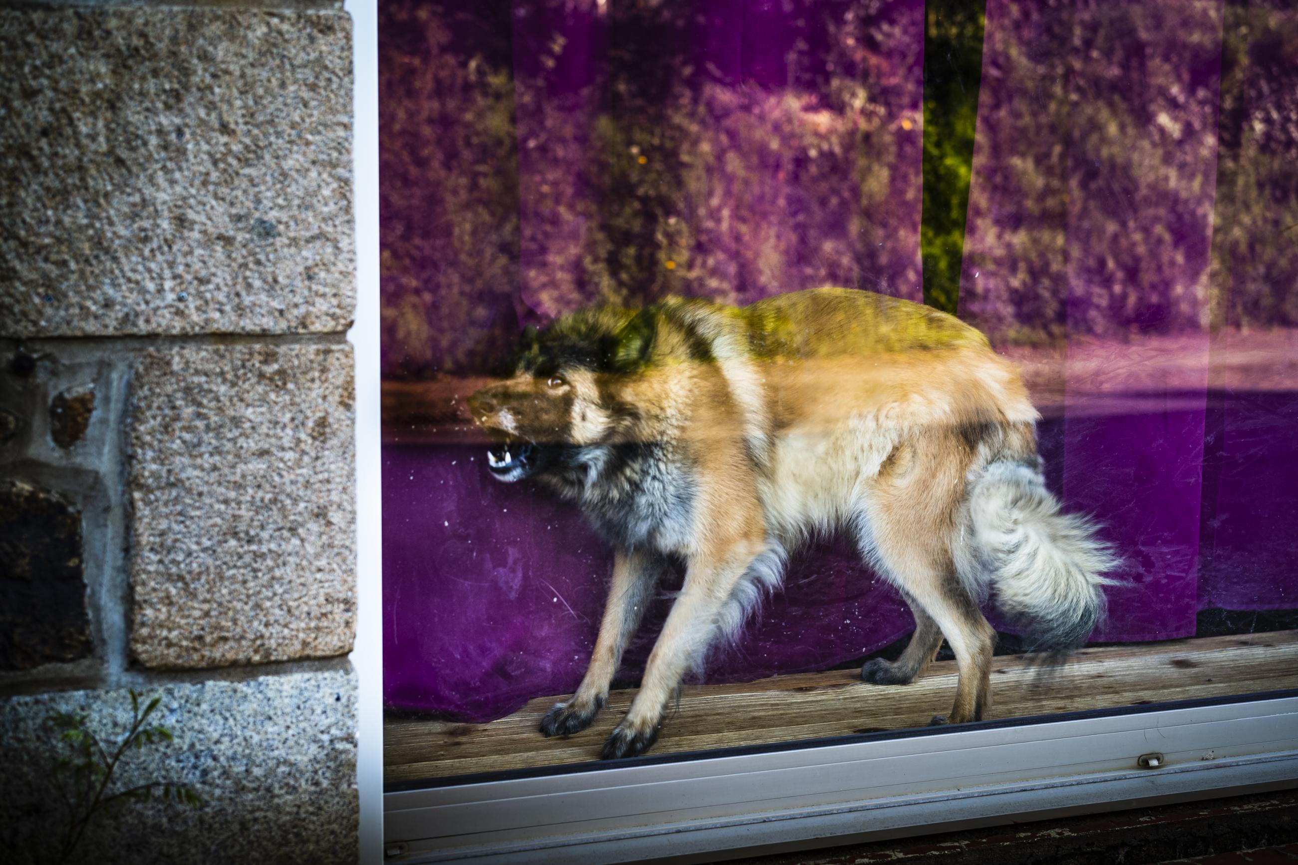 Goudelin chronique d'un village breton Bernard le Bars