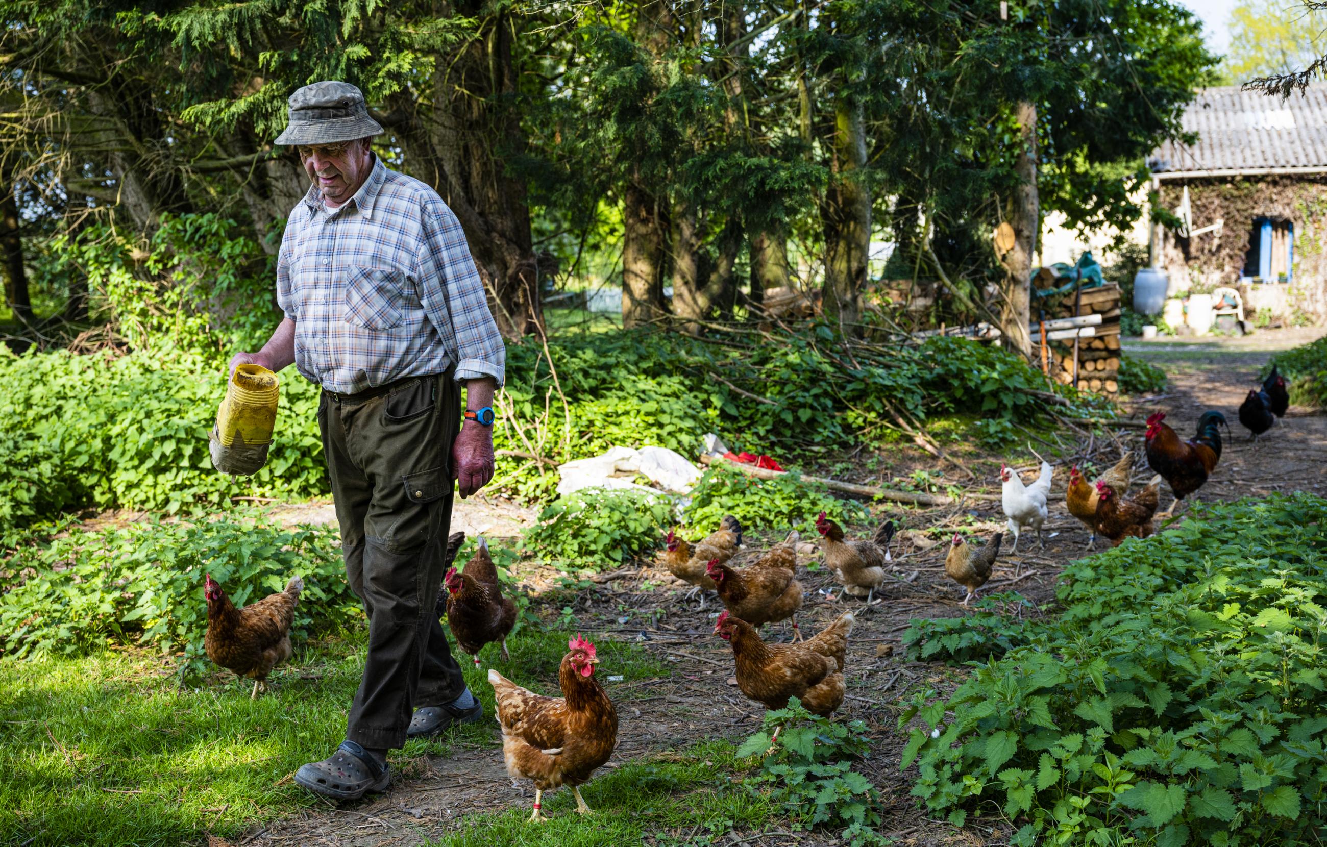 Goudelin chronique d'un village breton Bernard le Bars