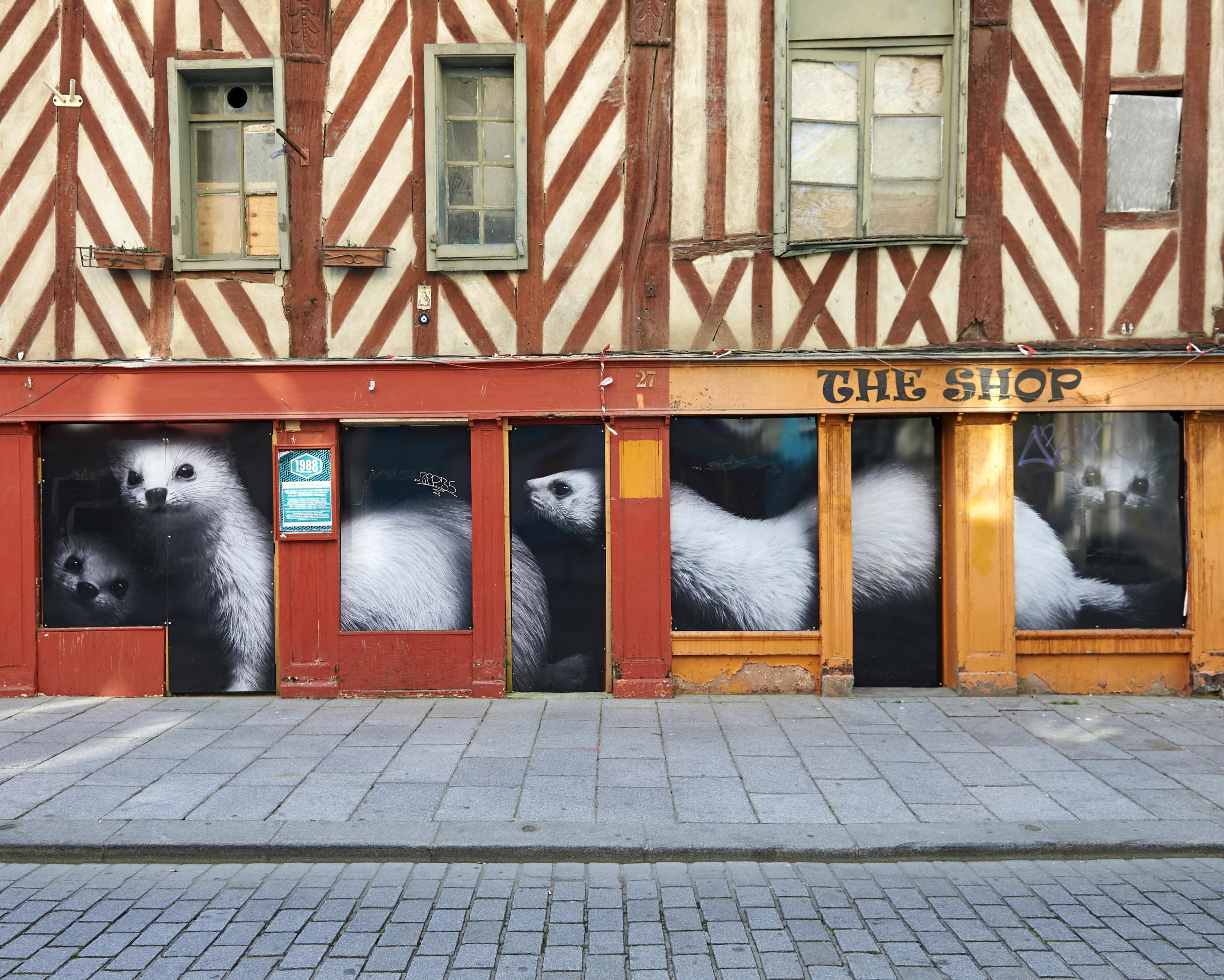 Rennes sous Covid, archives Thierry Pasquet