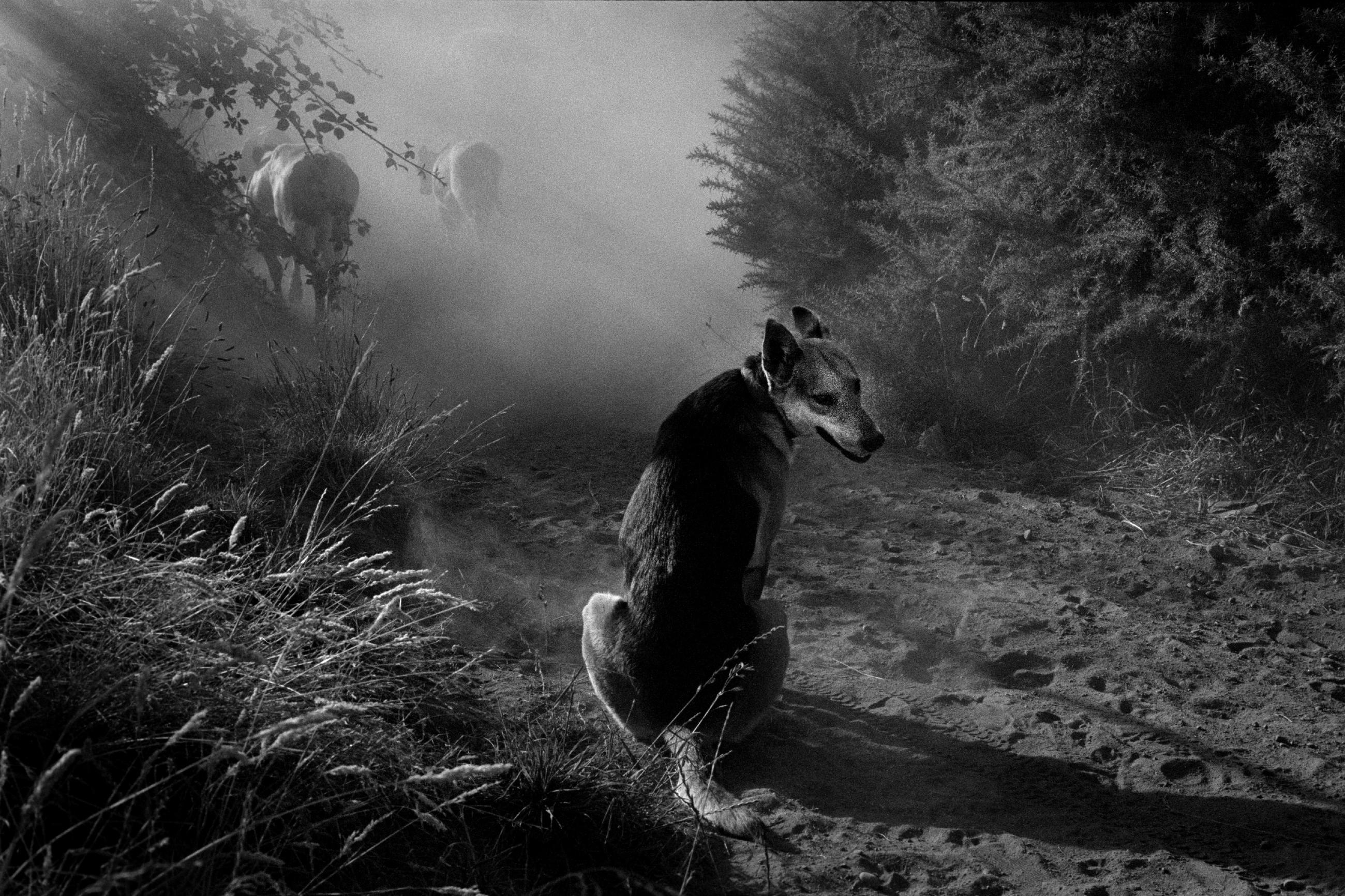 Chile, Dias Abiertos, le bout du voyage Eric Facon