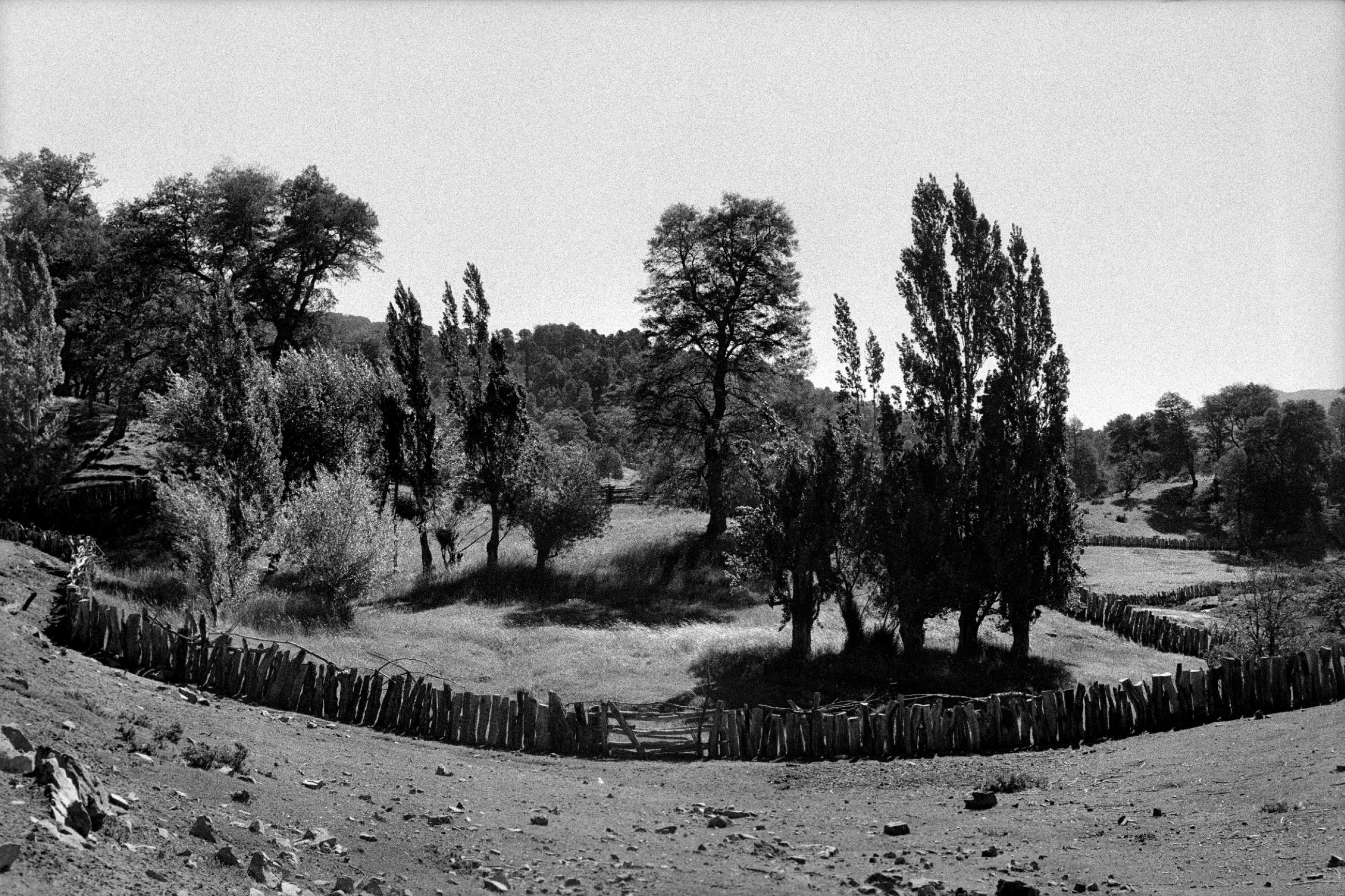 Chile, Dias Abiertos, le bout du voyage Eric Facon