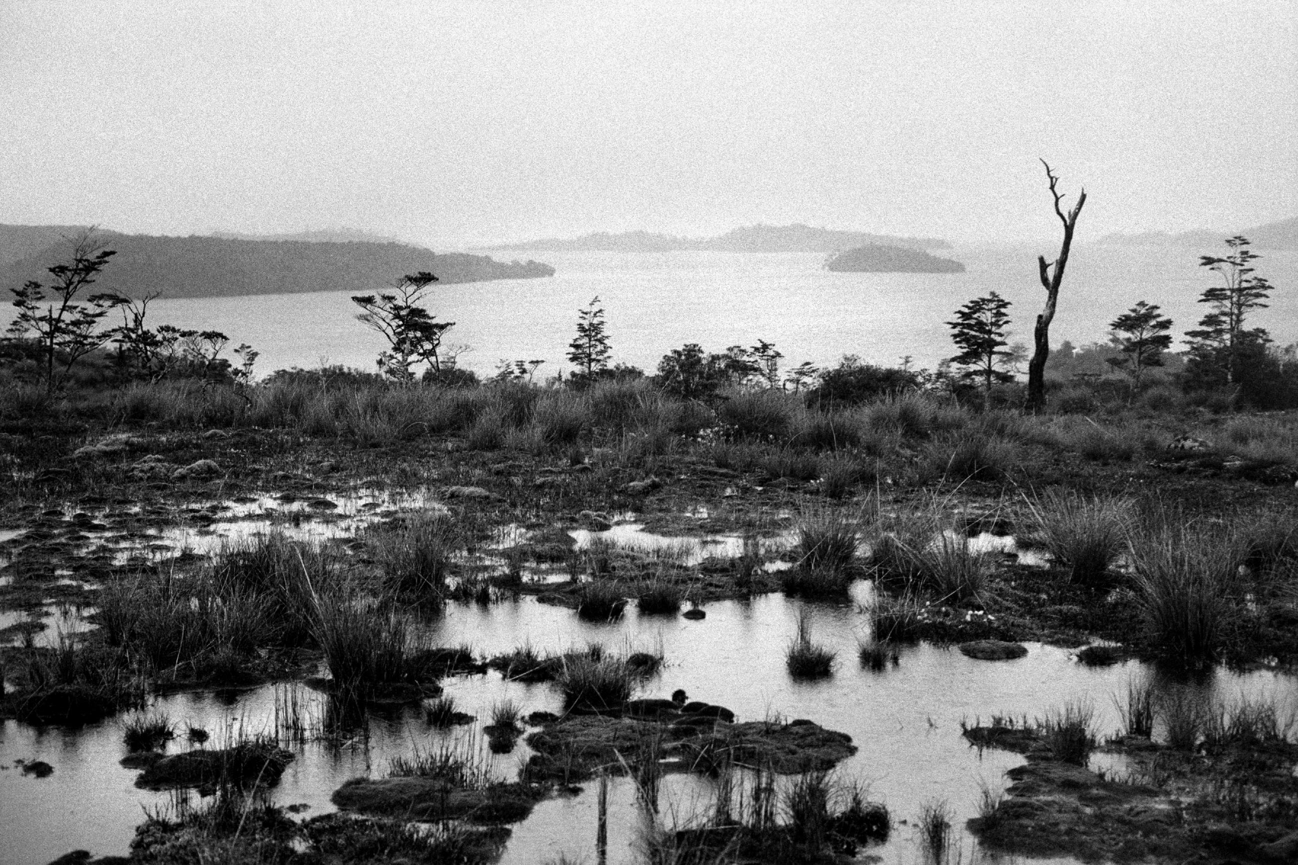 Chile, Dias Abiertos, le bout du voyage Eric Facon
