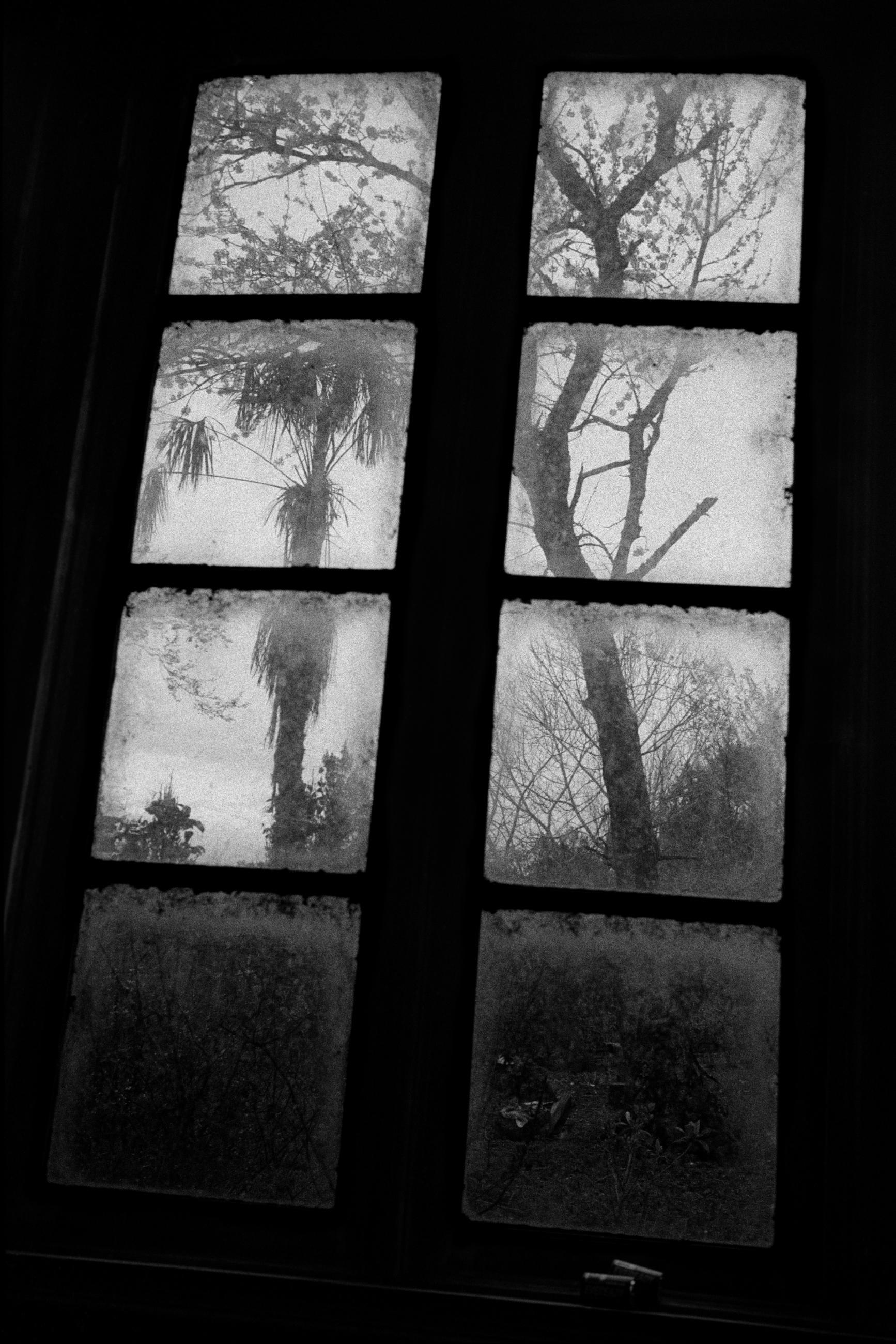 Vagabond, dans tes pas Eric Facon