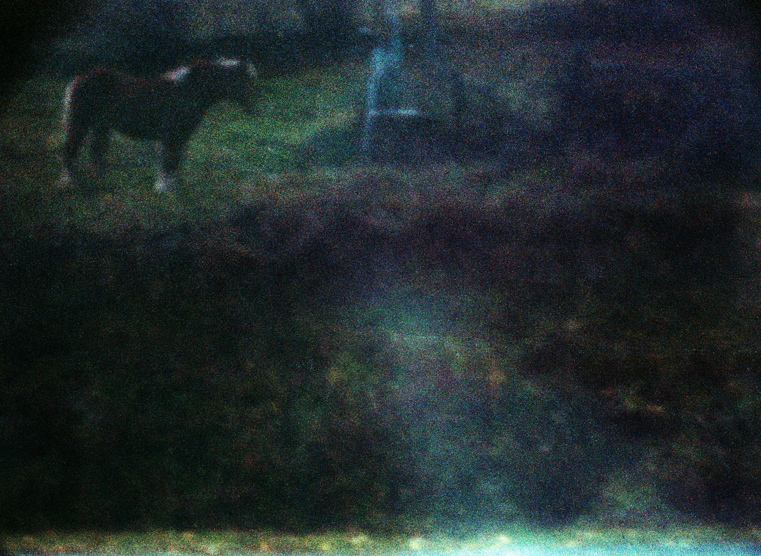 Based on a true story - Arno Brignon