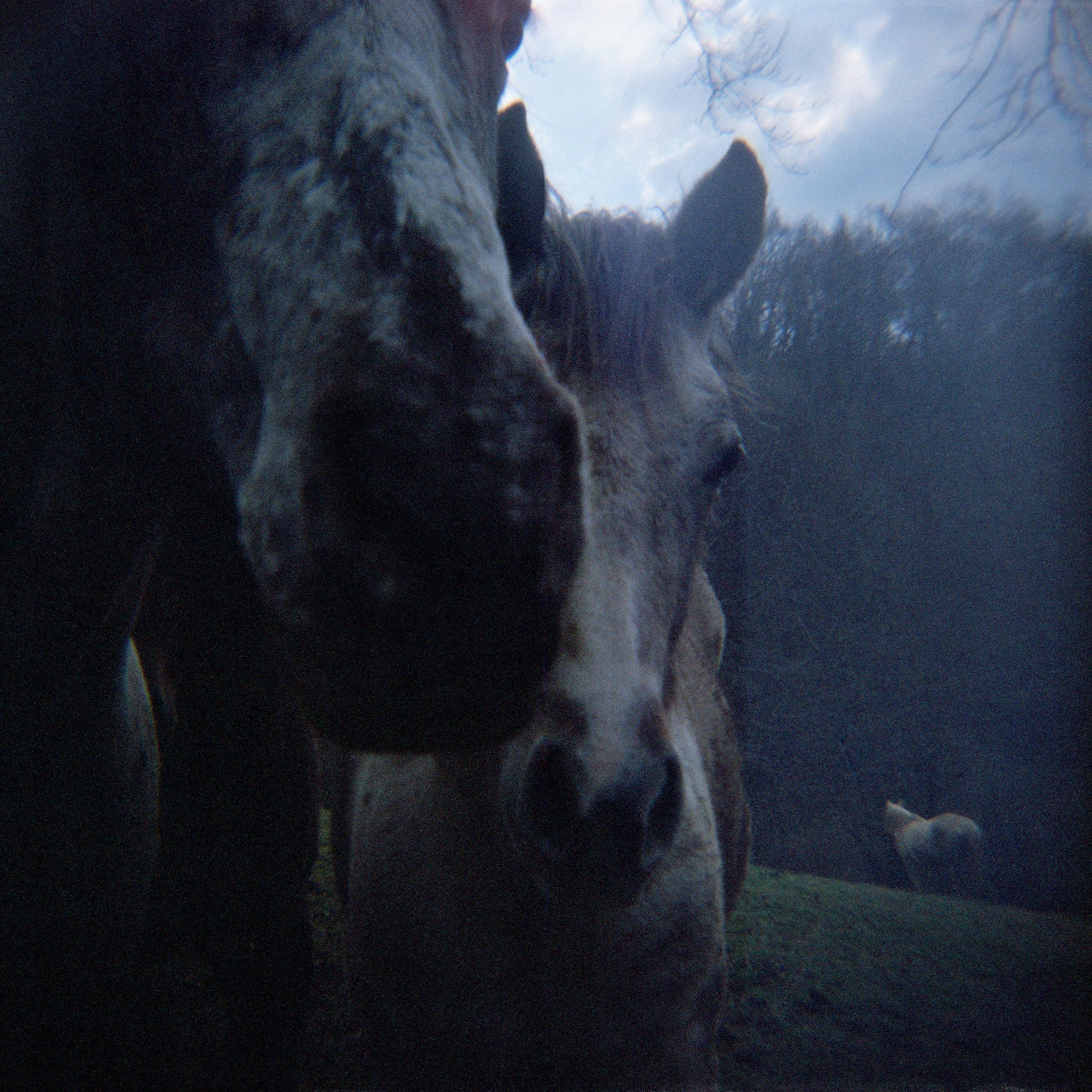 Based on a true story - Arno Brignon