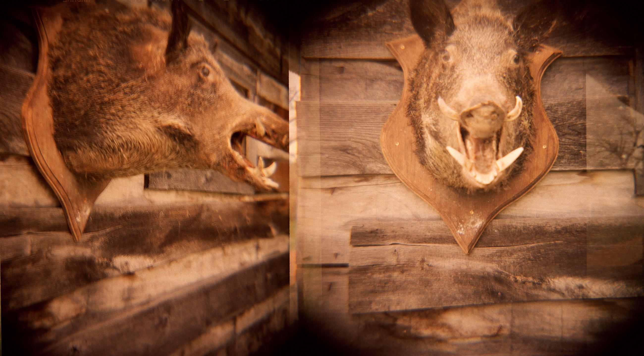 Based on a true story - Arno Brignon