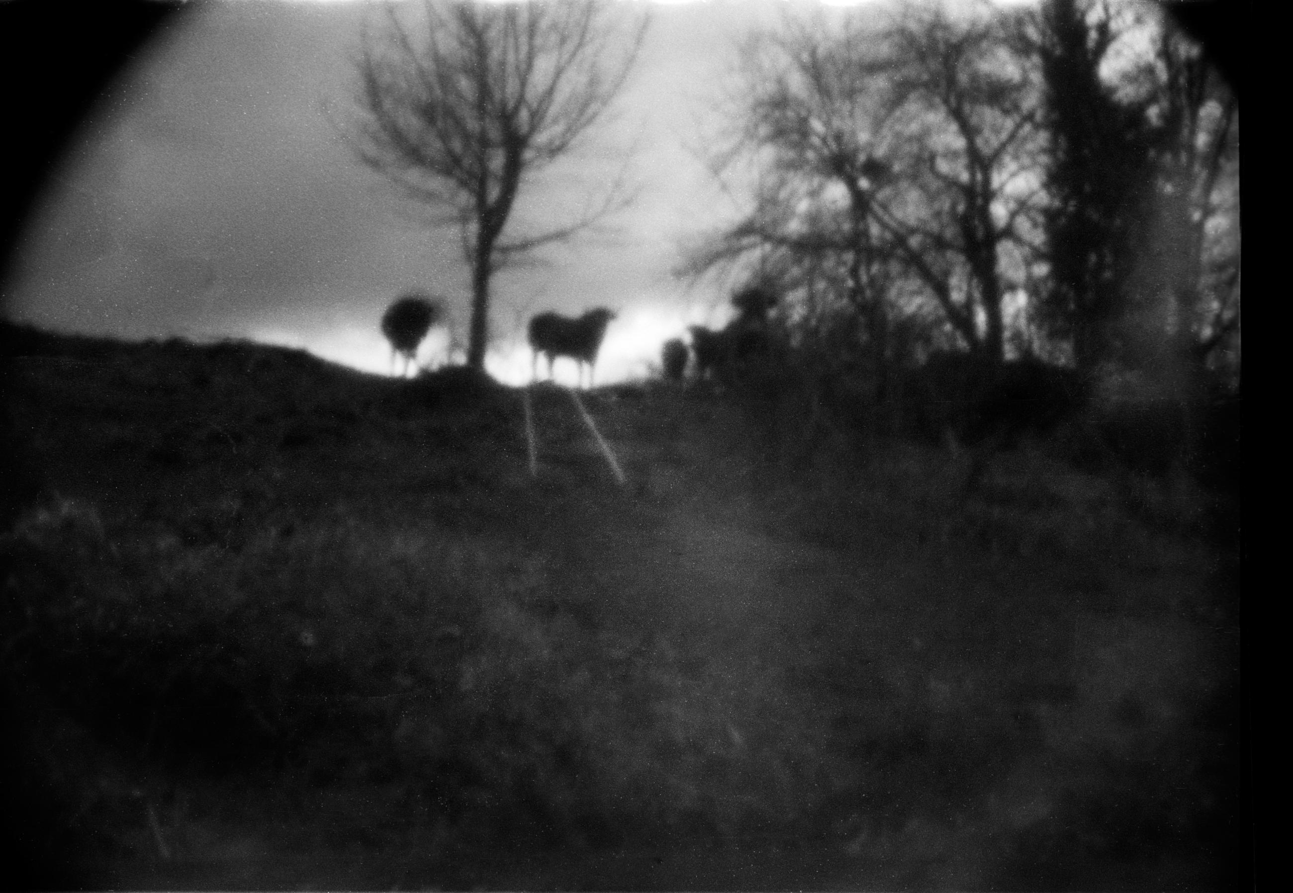 Based on a true story - Arno Brignon