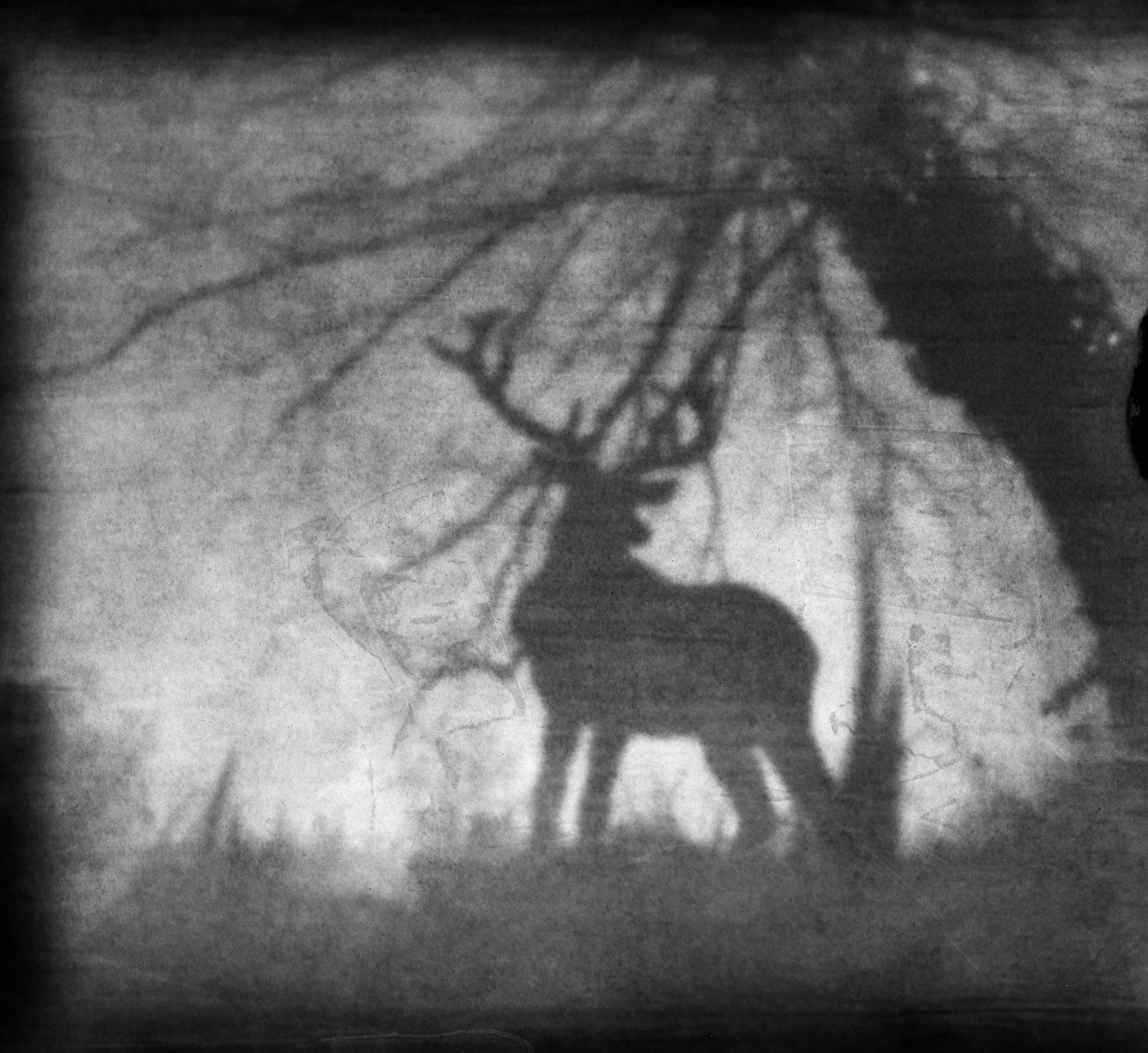 Based on a true story - Arno Brignon