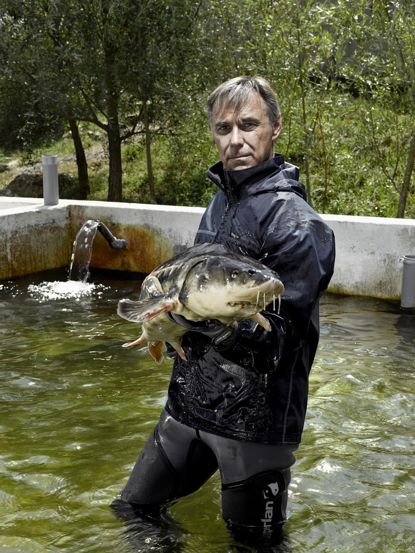 Goût de la terre Thierry Borredon