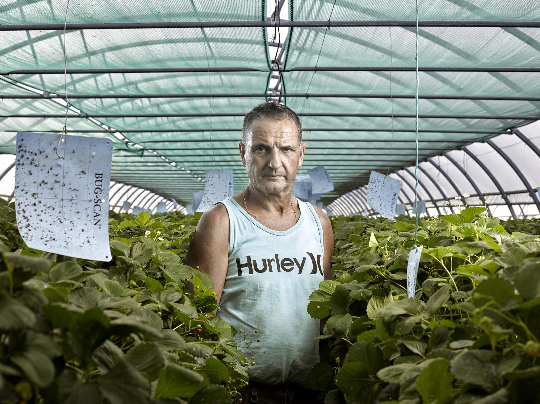 Goût de la terre Thierry Borredon