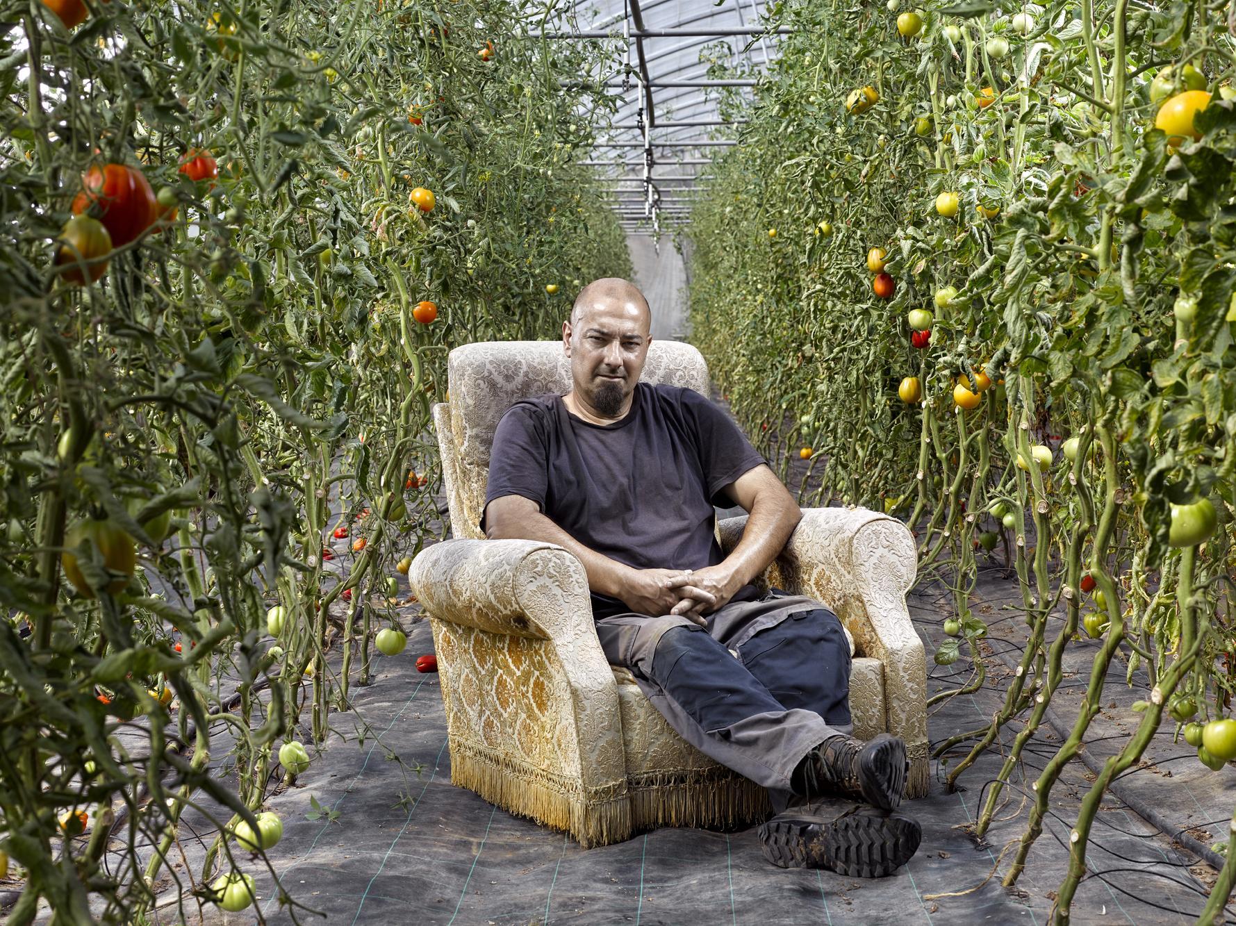 Goût de la terre Thierry Borredon