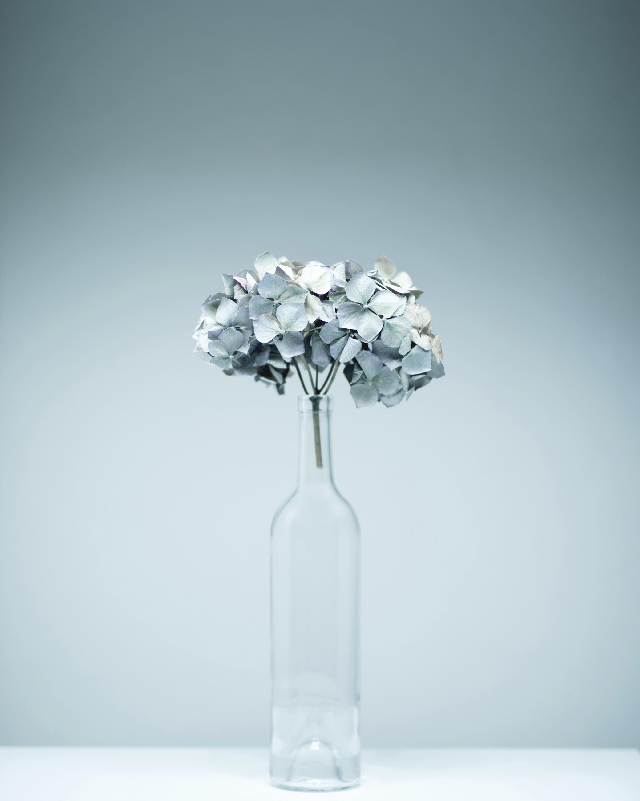 Still Life Joanna Tarlet Gauteur