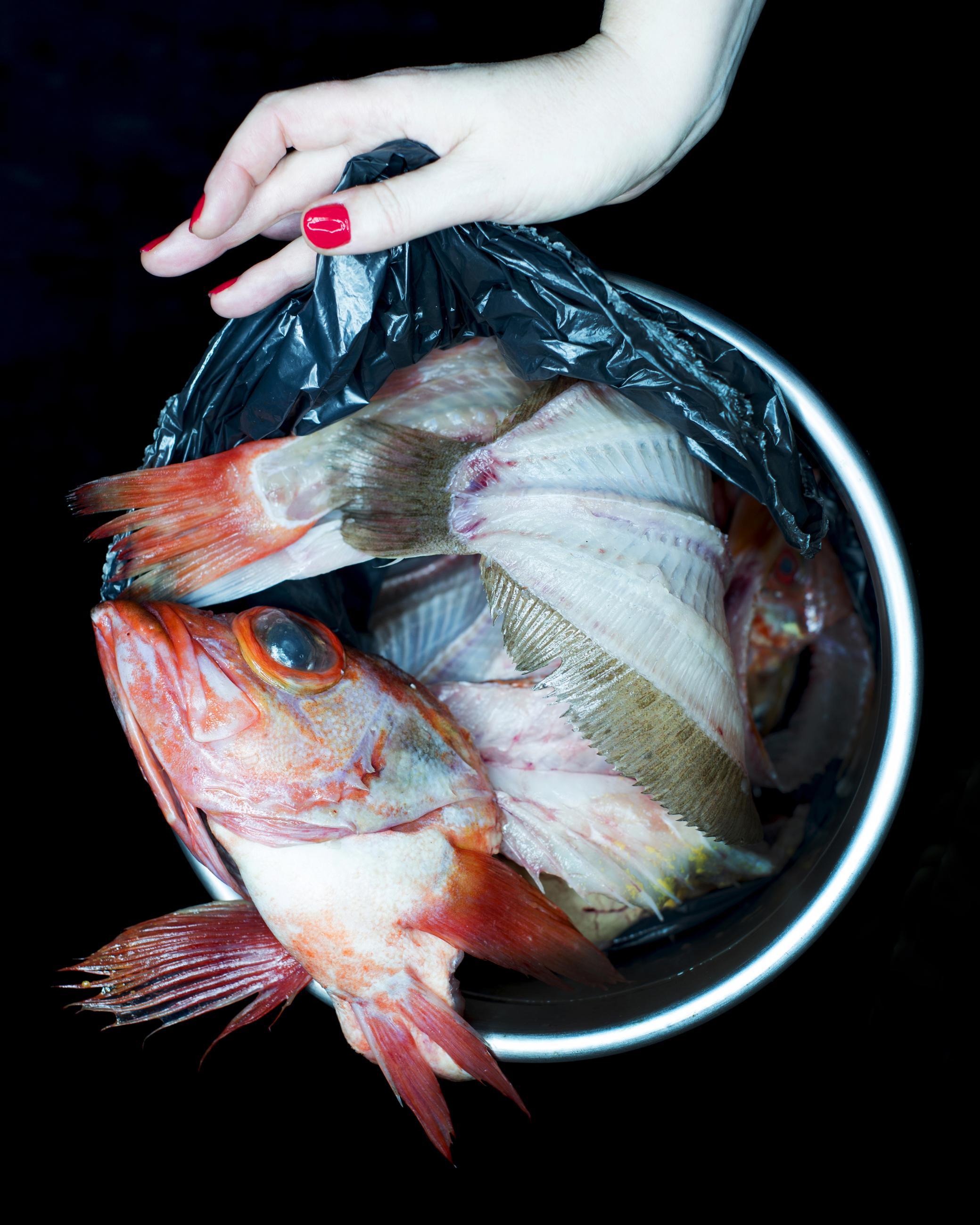 Save The Planet Joanna Tarlet Gauteur