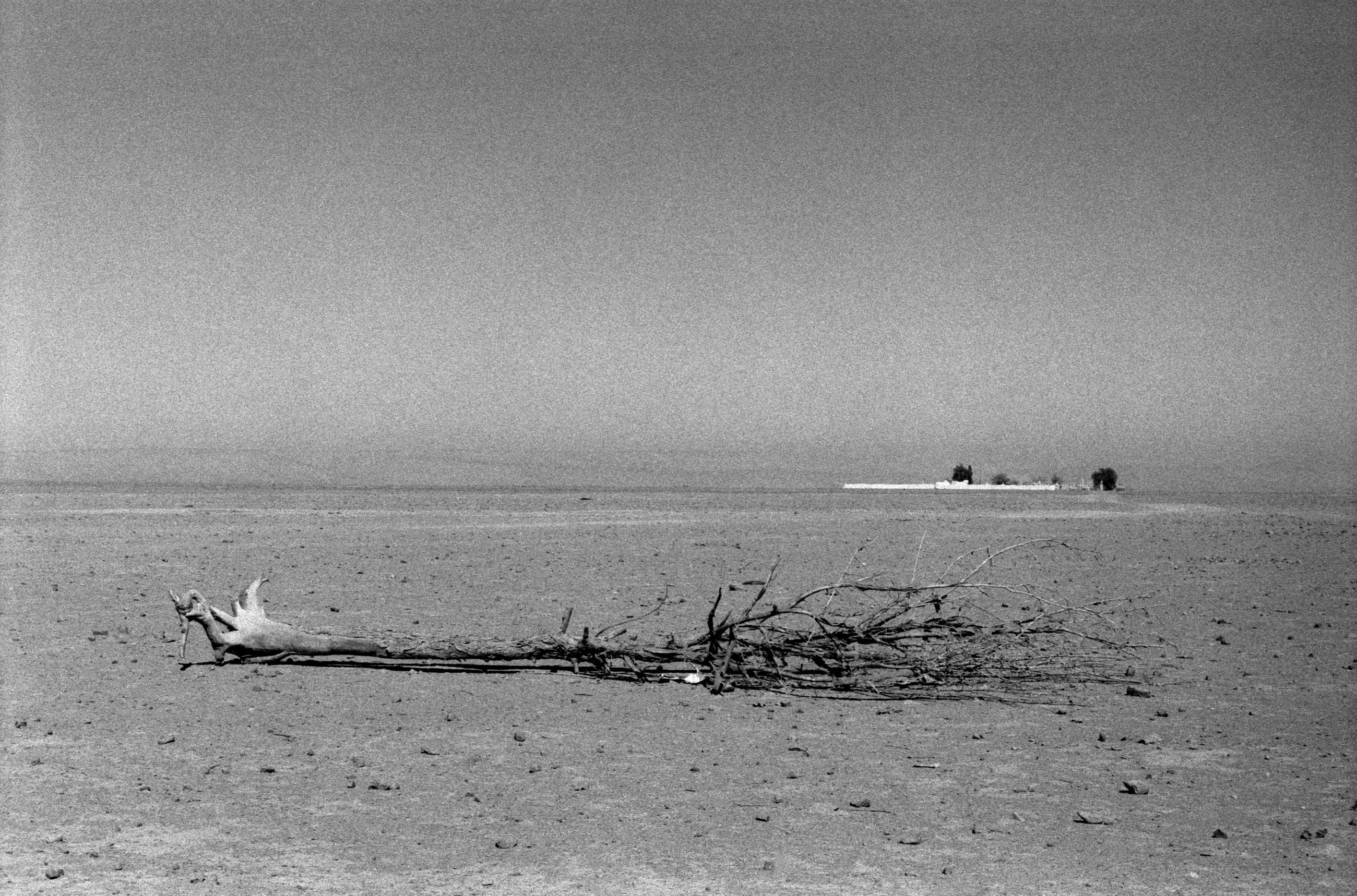 Un train de marchandise dans le désert d'Atacama au Chili en 1998