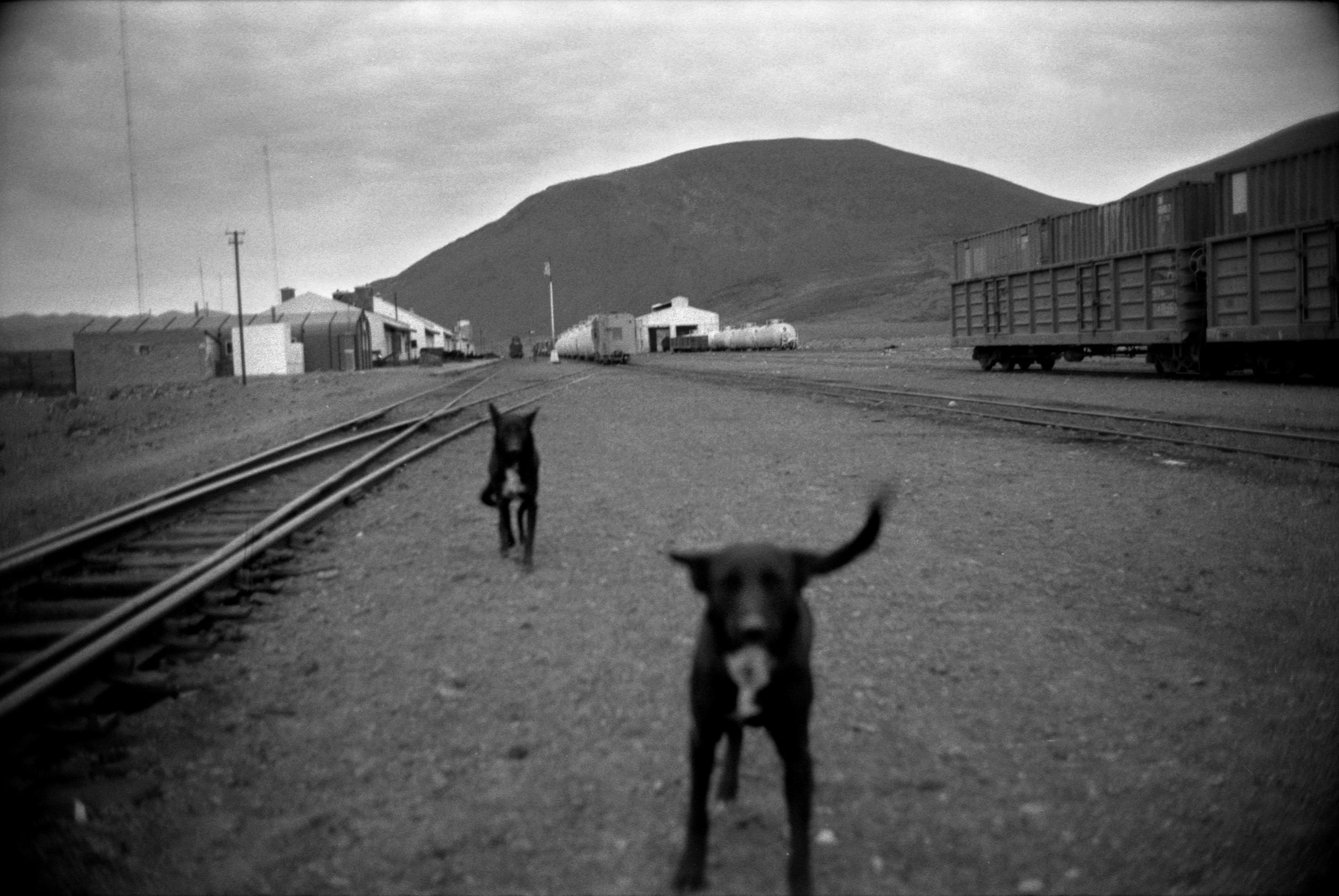 Un train de marchandises dans le désert d'Atacama au Chili, en 1998