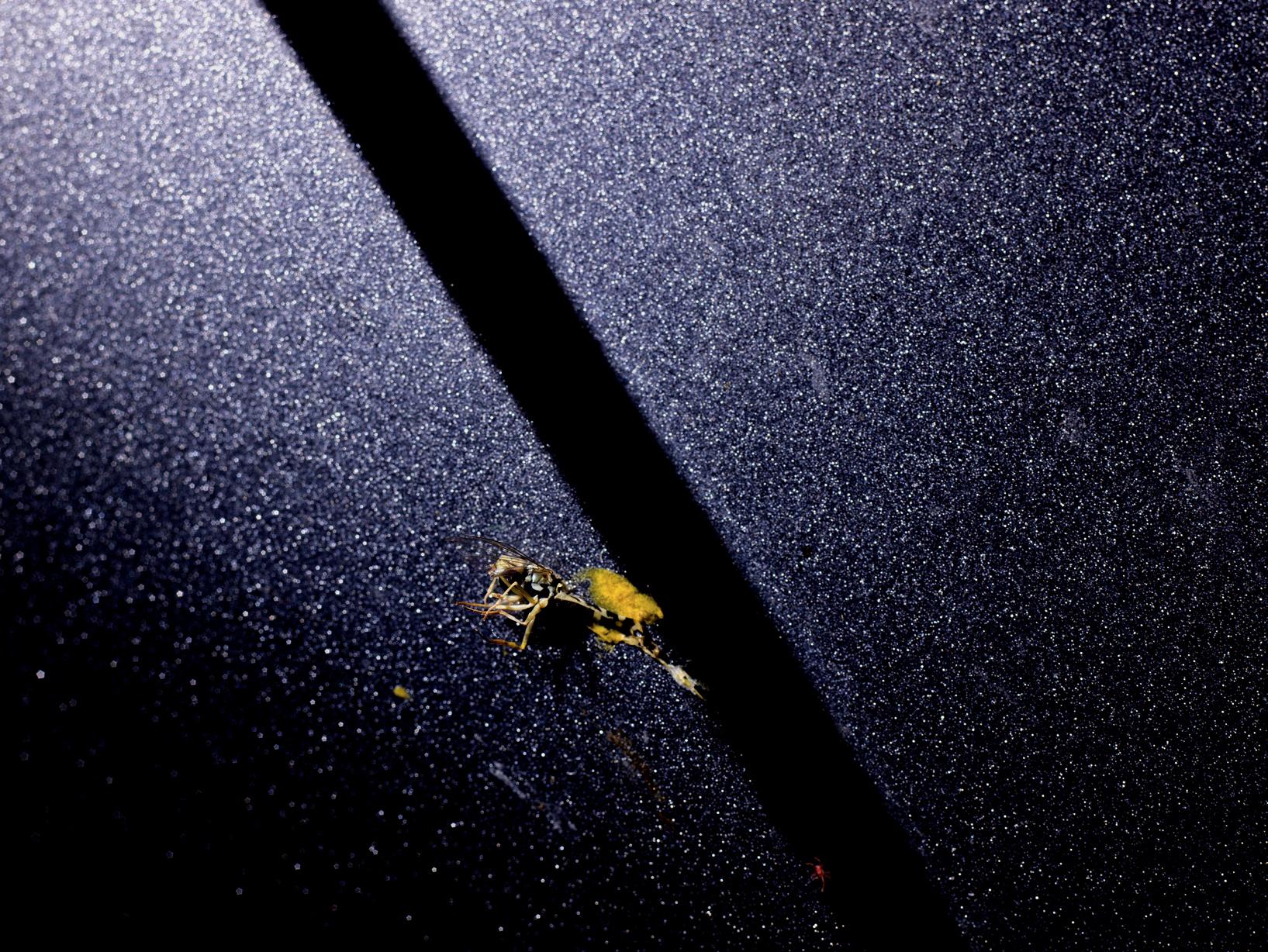 L'accident Laurent Monlaü