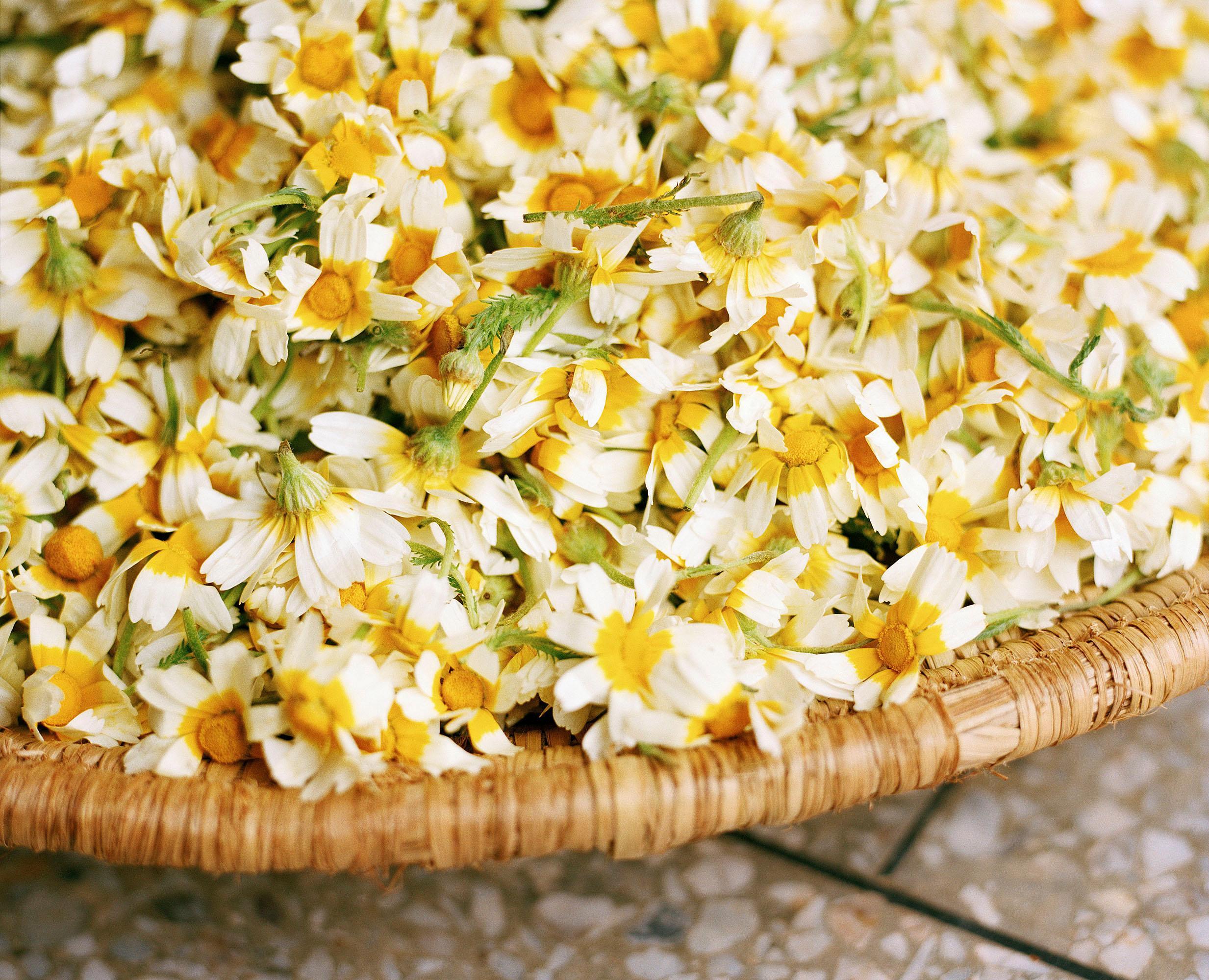 Tout n'est pas si rose Mélanie Bahuon