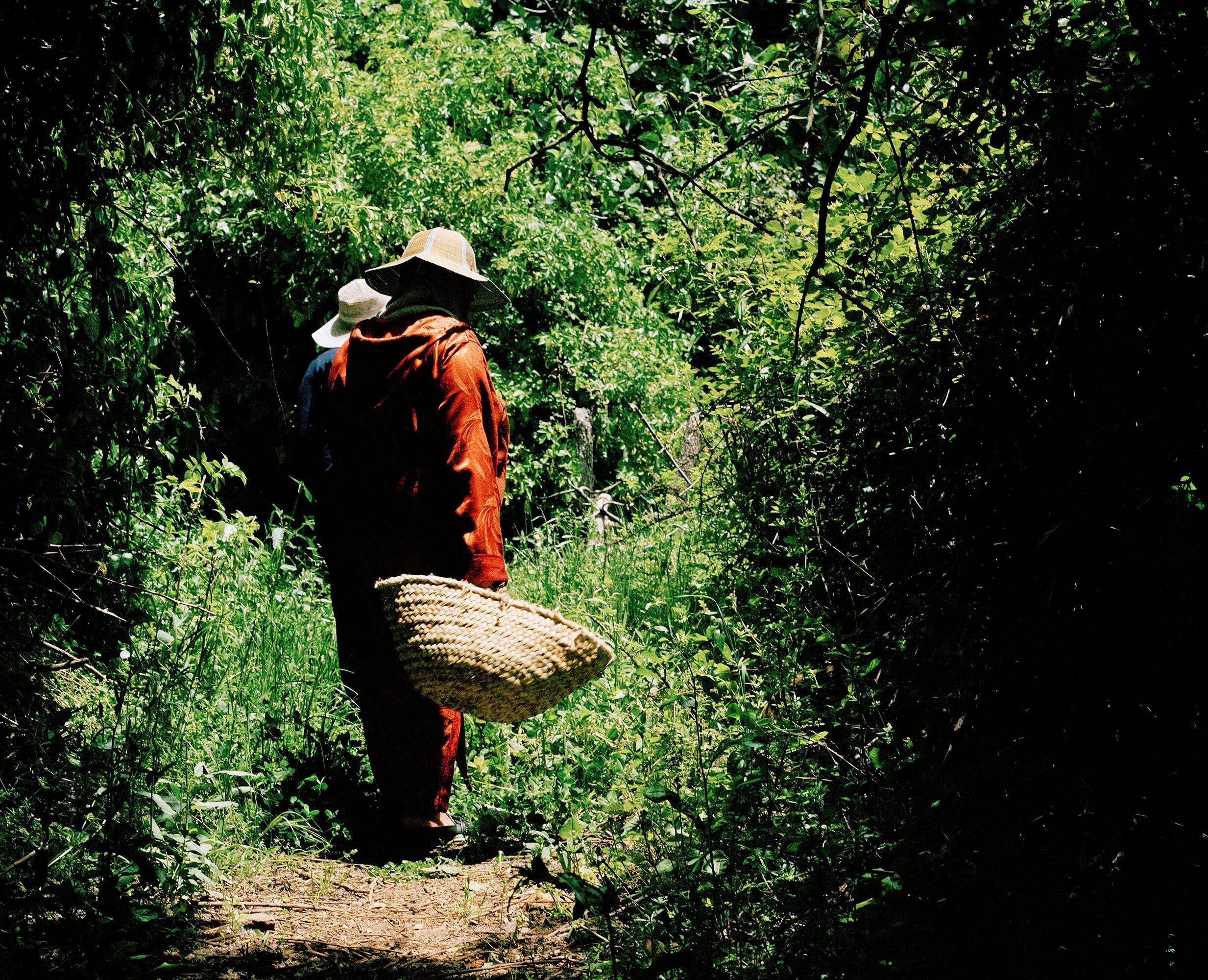Tout n'est pas si rose Mélanie Bahuon