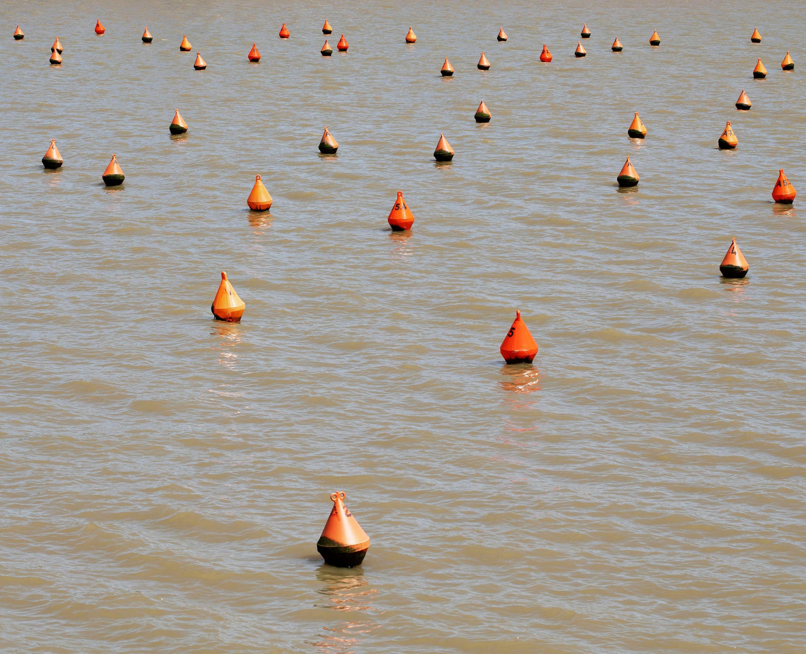 Horizon éloigné Mélanie Bahuon