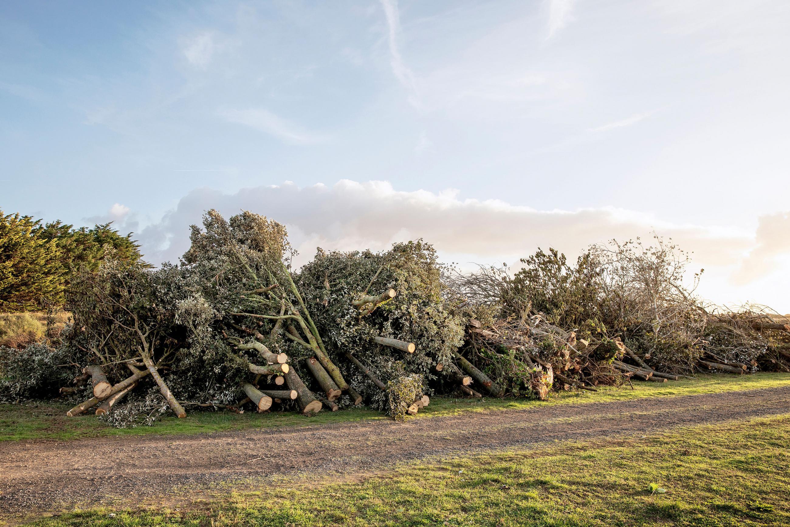 A contre-courant Mélanie Bahuon