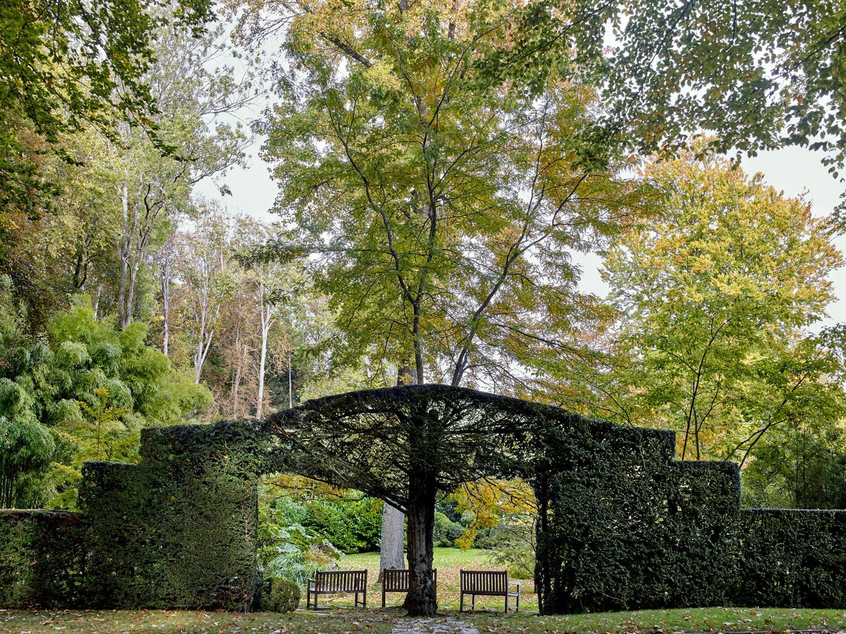  Sandrine Expilly_DOMAINE DE COURANCES