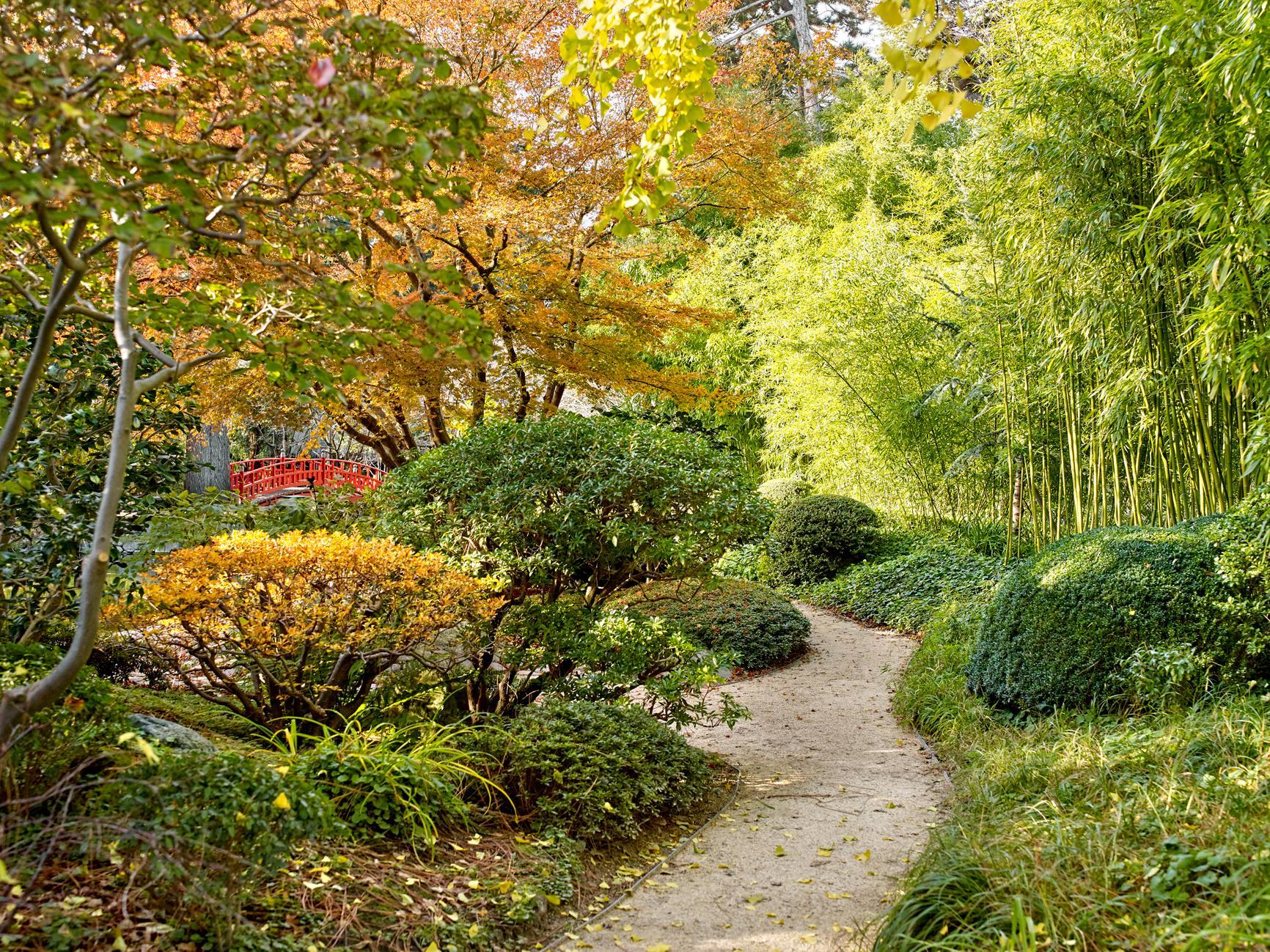 Sandrine Expilly_JARDINS DU MUSEE ALBERT KAHN