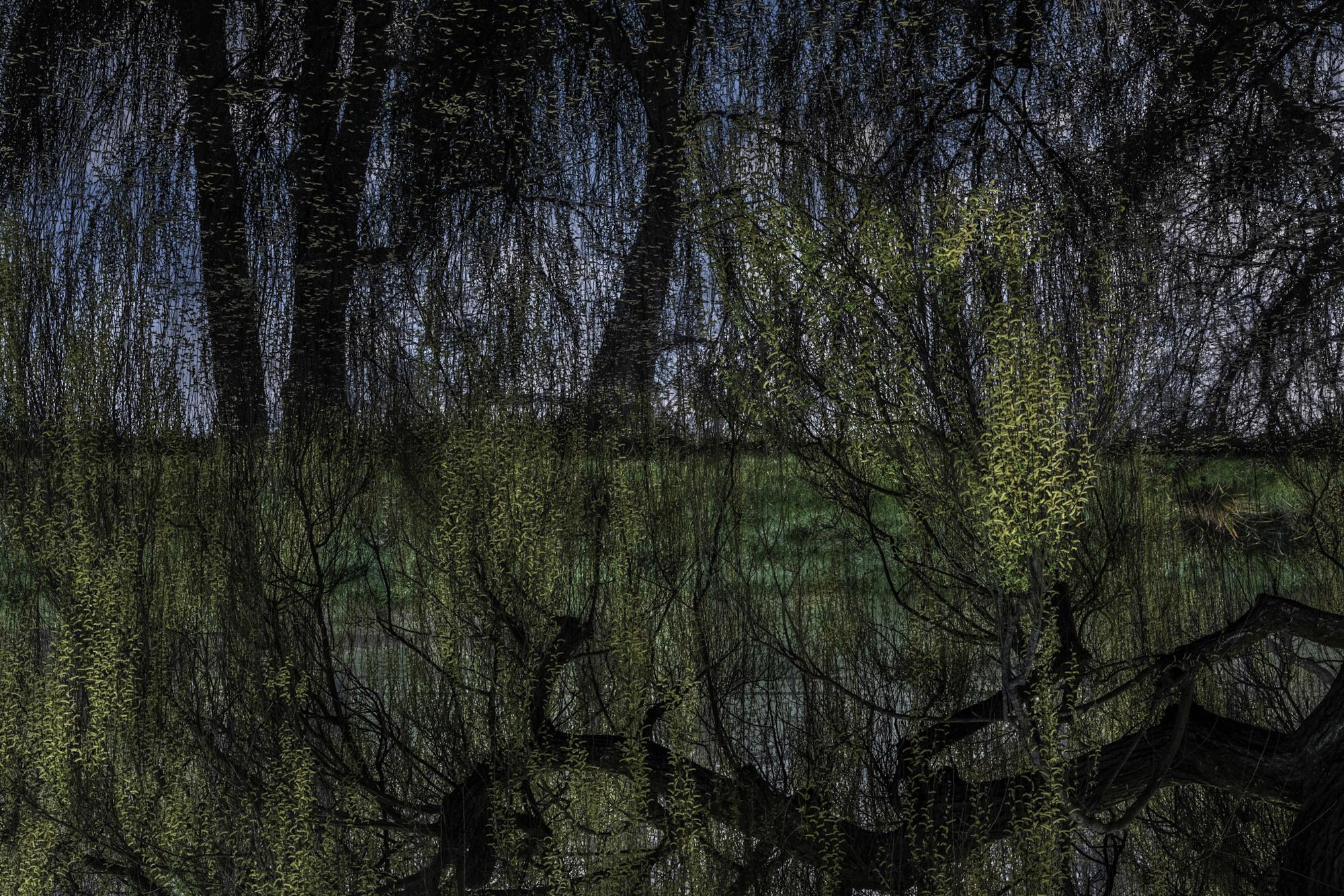 Promontoires du silence Didier Goupy