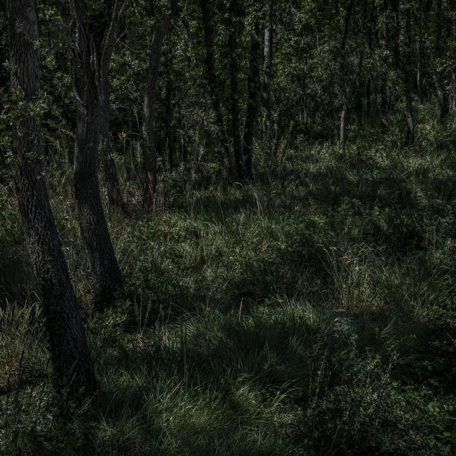 Promontoires du silence Didier Goupy