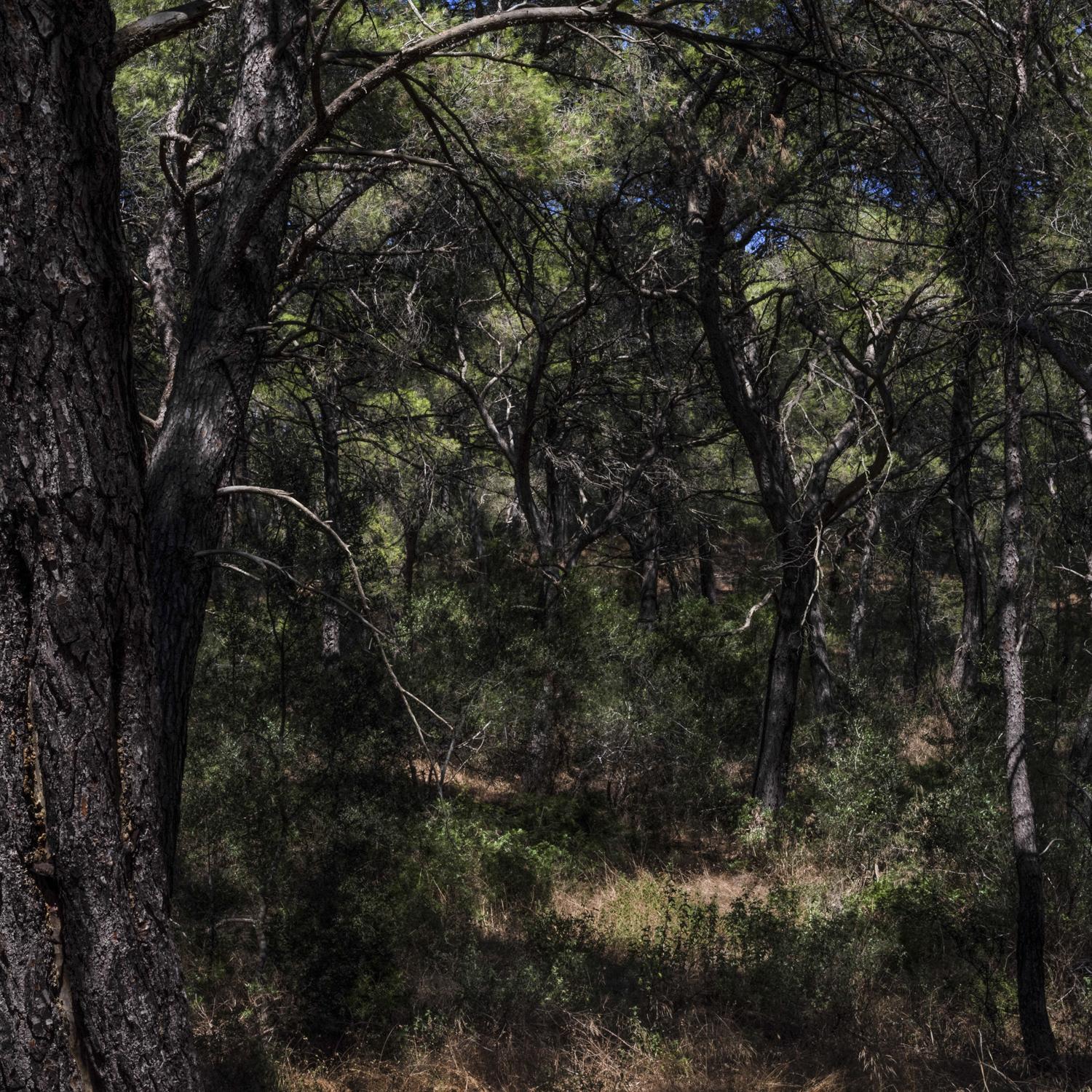 GOUPY_PROMONTOIRES DU SILENCE_009