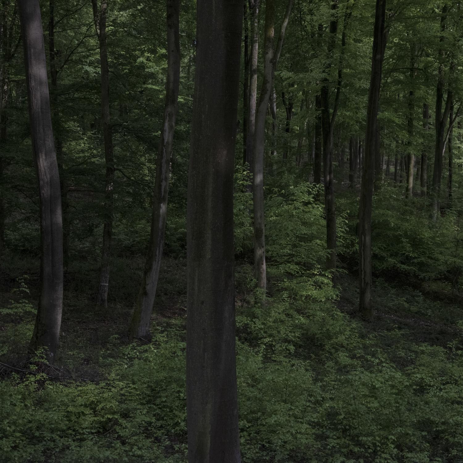 Promontoires du silence Didier Goupy