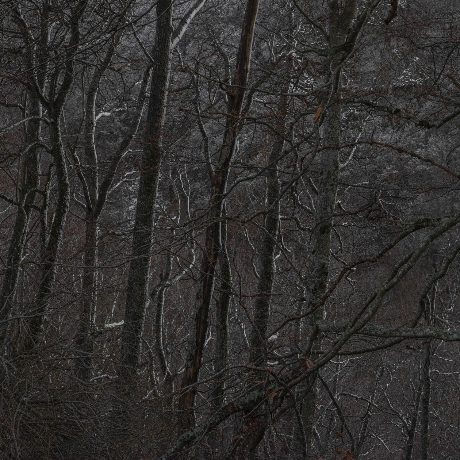 Promontoires du silence Didier Goupy