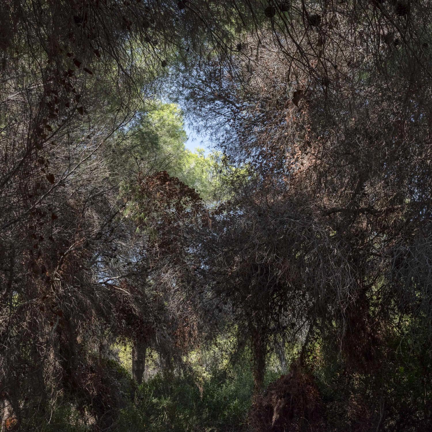 Promontoires du silence Didier Goupy