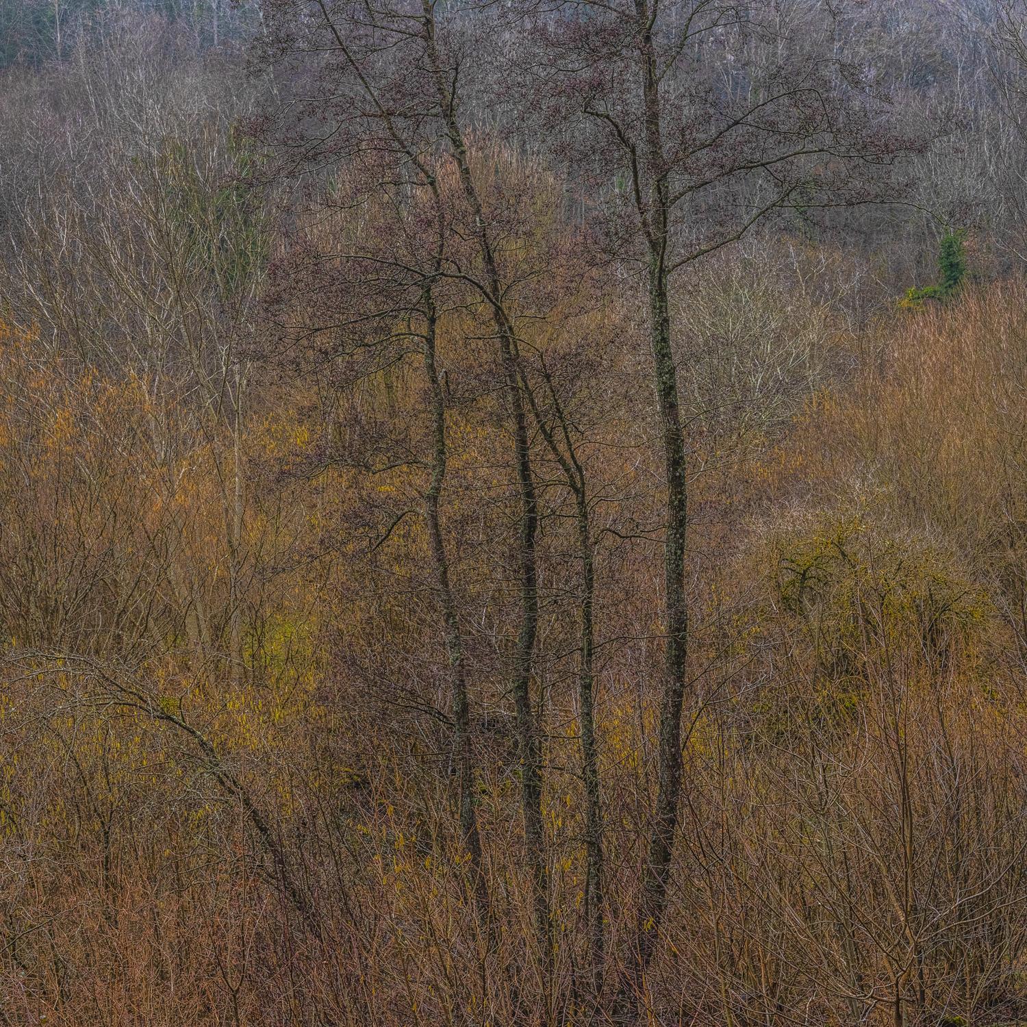 Promontoires du silence Didier Goupy