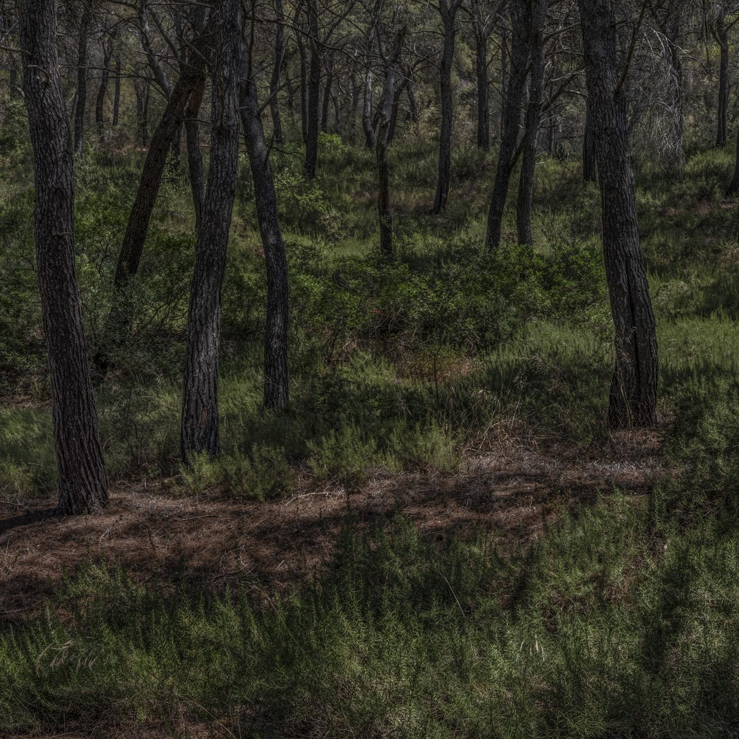 Promontoires du silence Didier Goupy