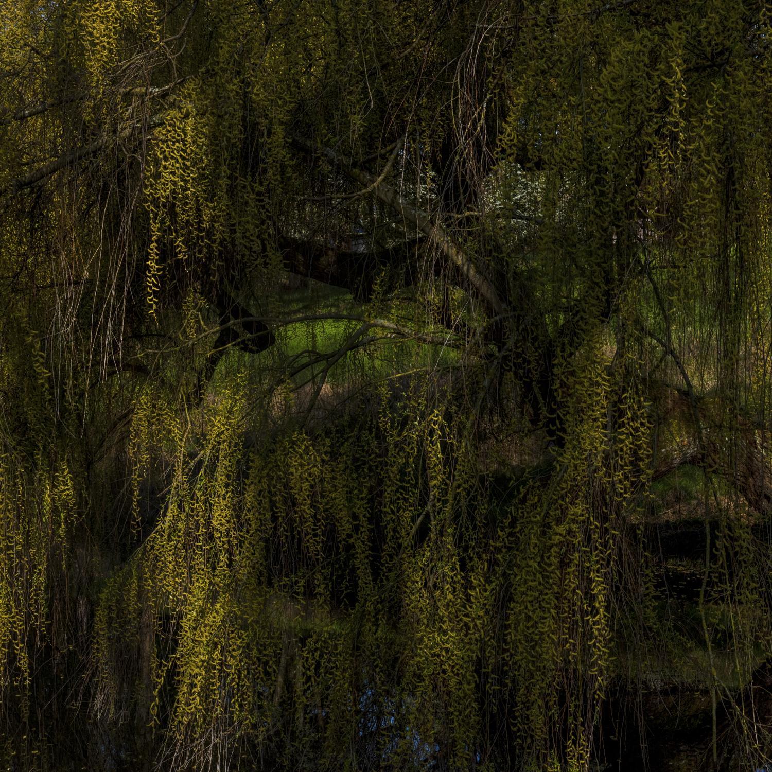 Promontoires du silence Didier Goupy
