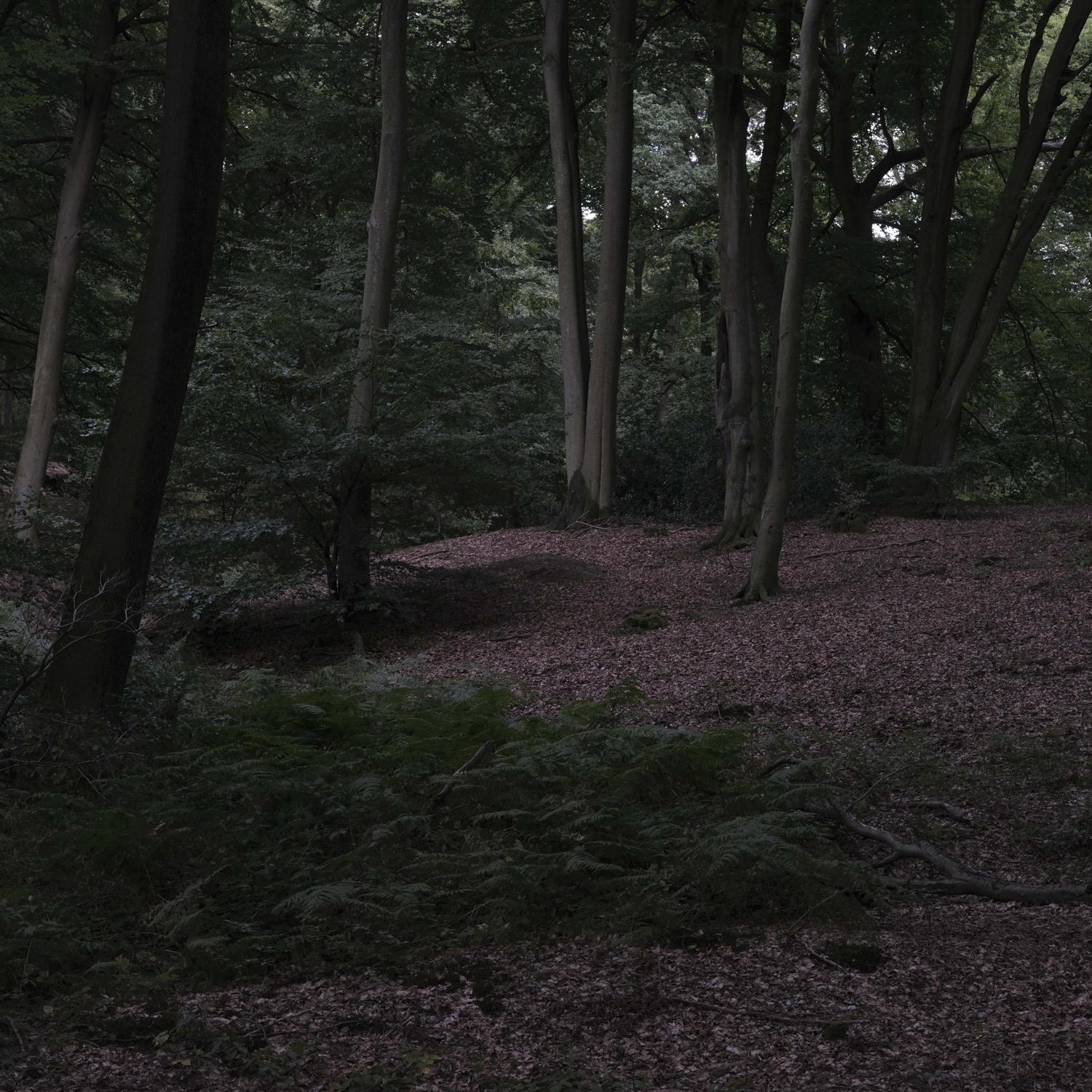 Promontoires du silence Didier Goupy